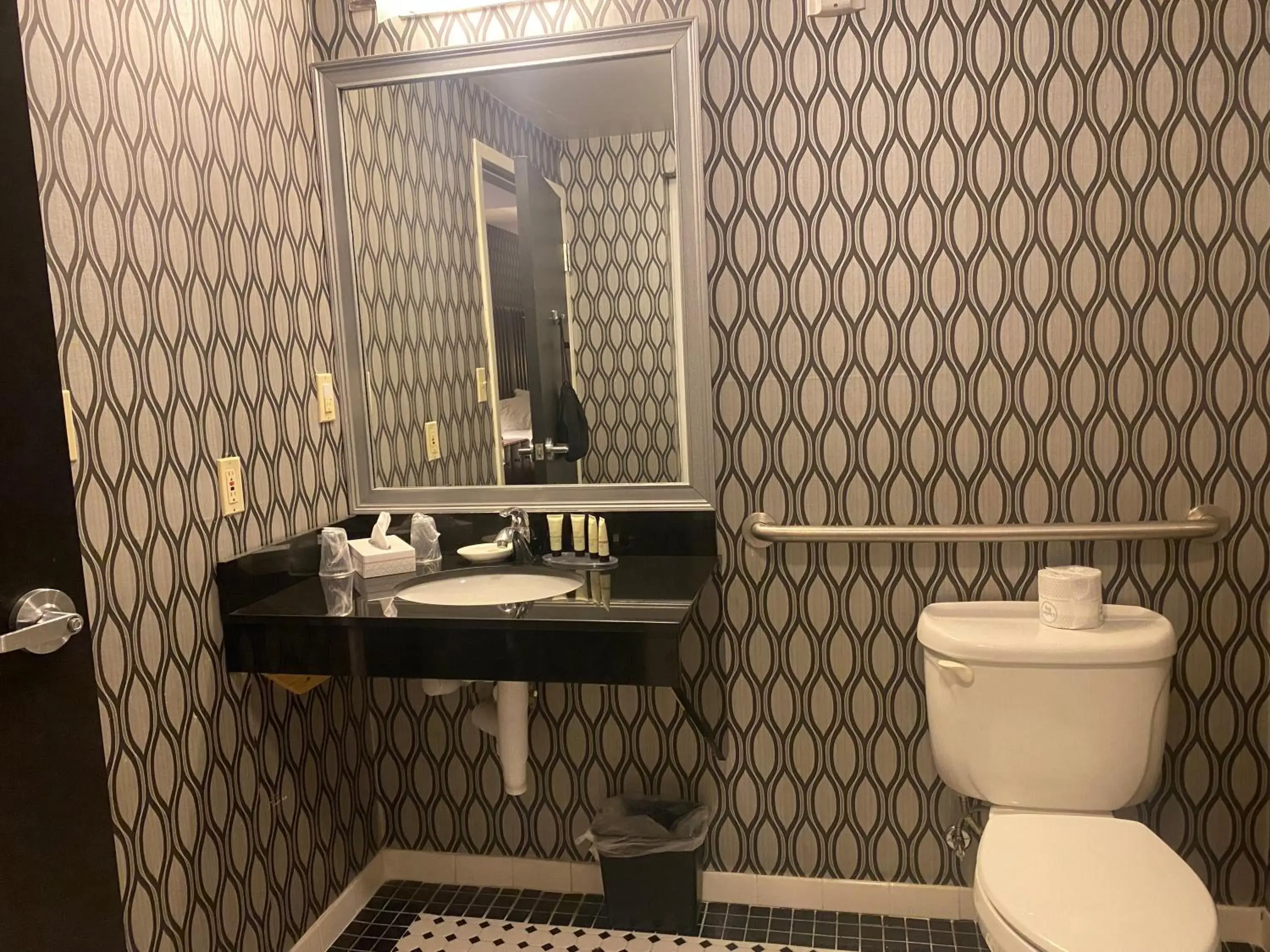 Deluxe ADA with One Queen Bed in Park Manor Hotel Deluxe ADA with One Queen Bed in Park Manor Hotel