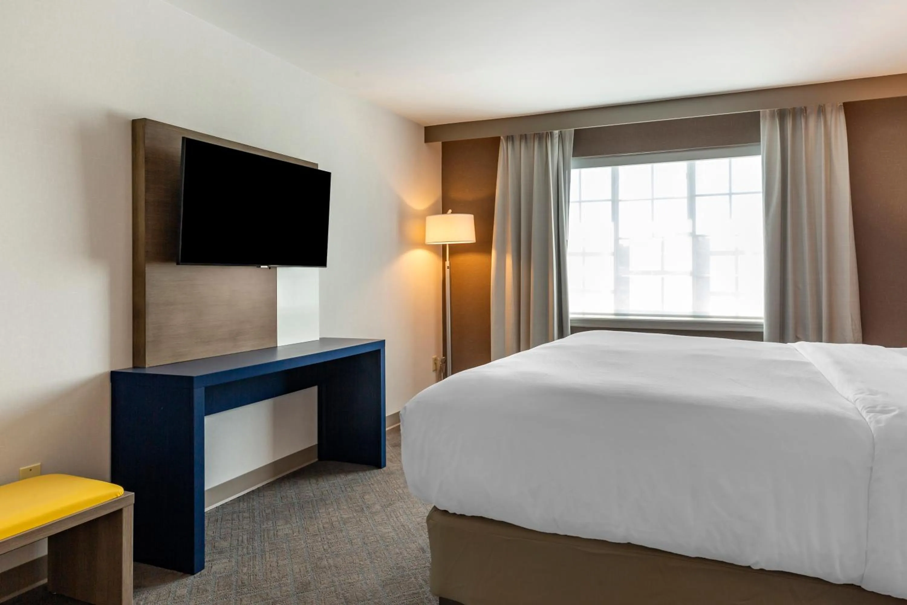 TV and multimedia, Bed in Comfort Inn & Suites East Greenbush - Albany