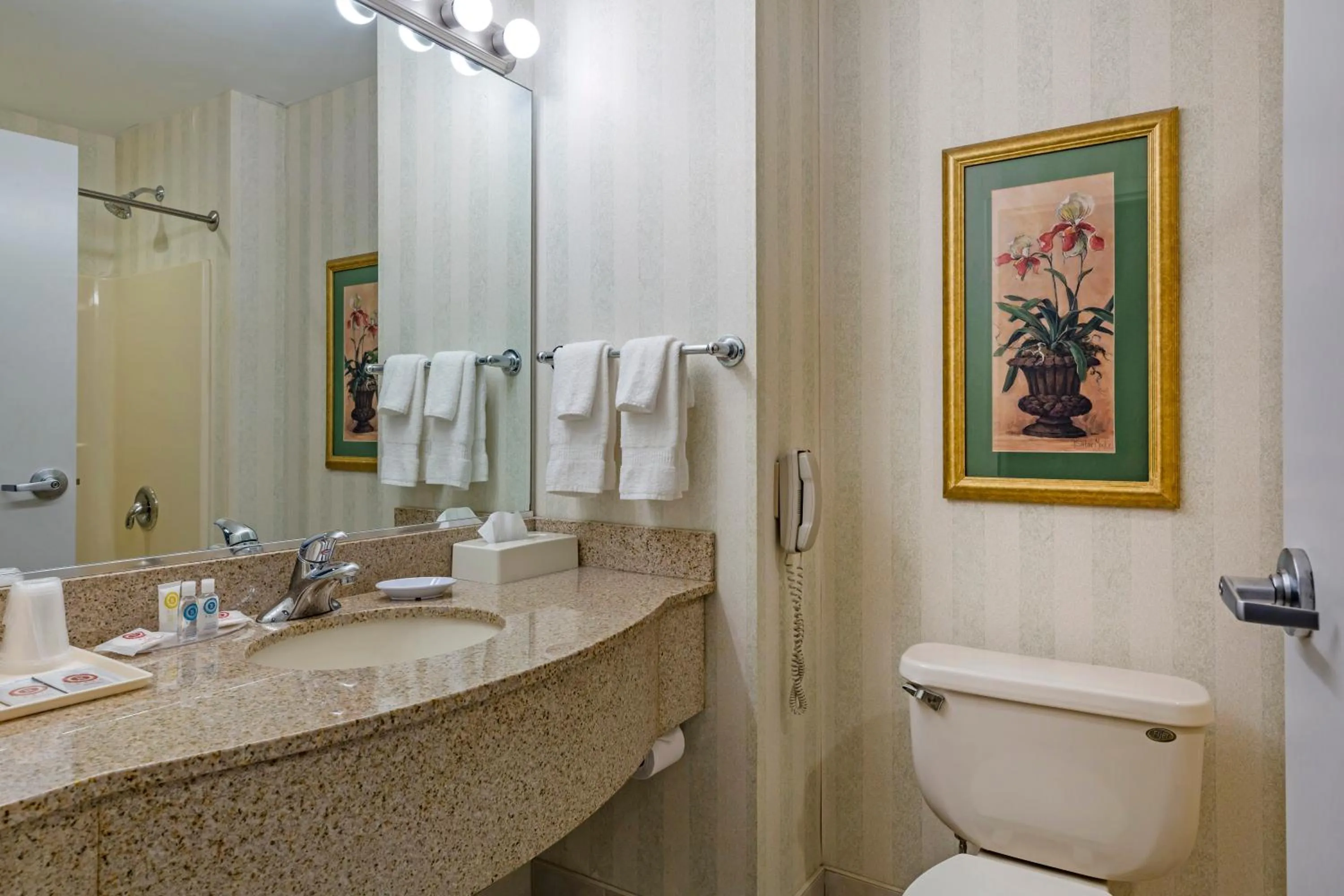 Bathroom in Comfort Inn & Suites East Greenbush - Albany