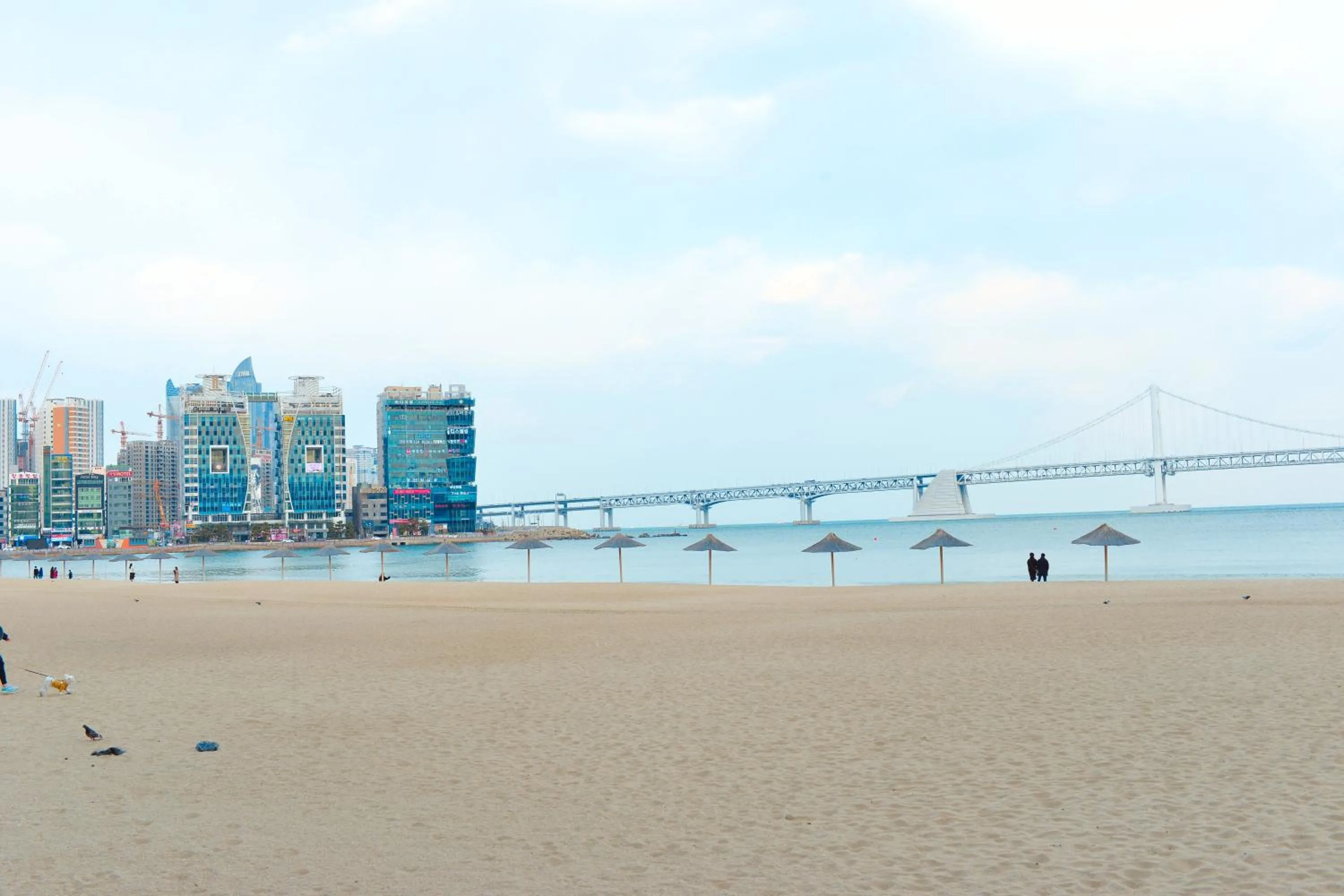 Property building in H Avenue Gwanganri Beach