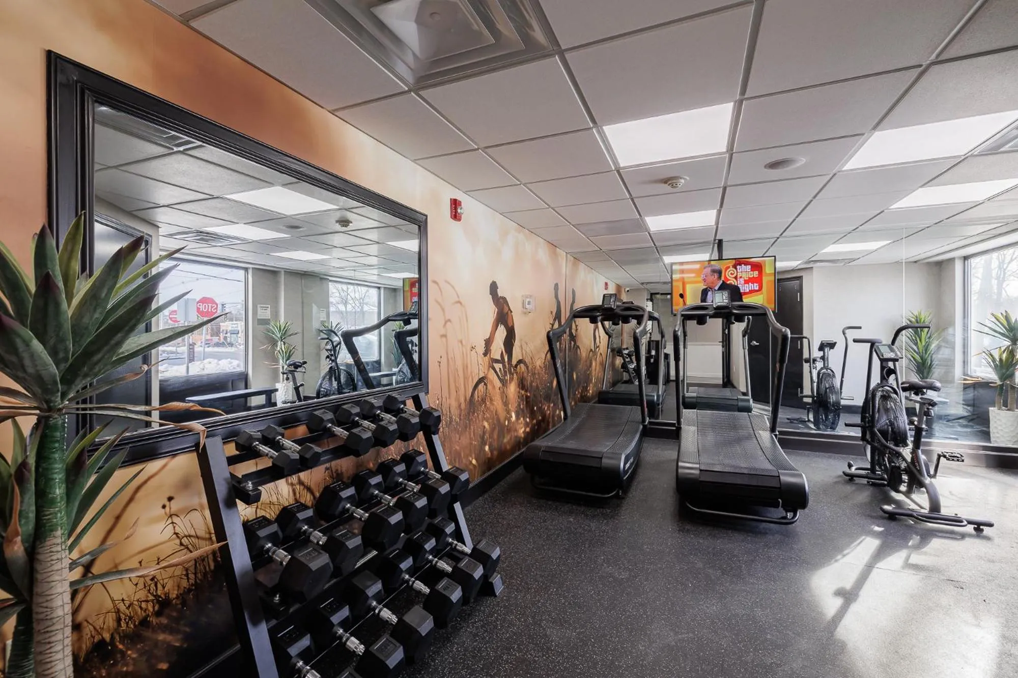 Fitness centre/facilities in Oakfield Hotel & Suites Rochester, an Ascend Collection Hotel