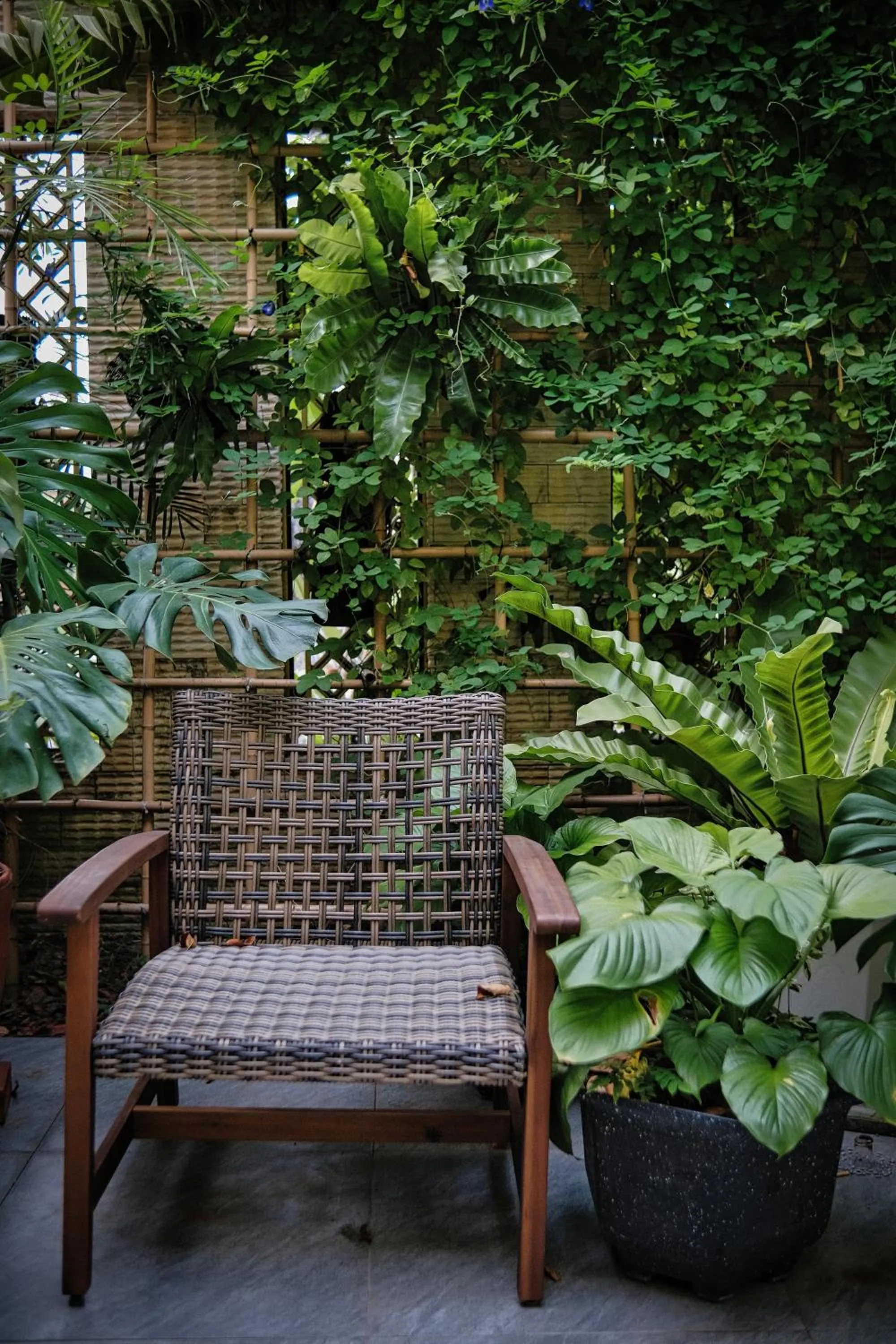 Balcony/Terrace in Thi Boutique Villa