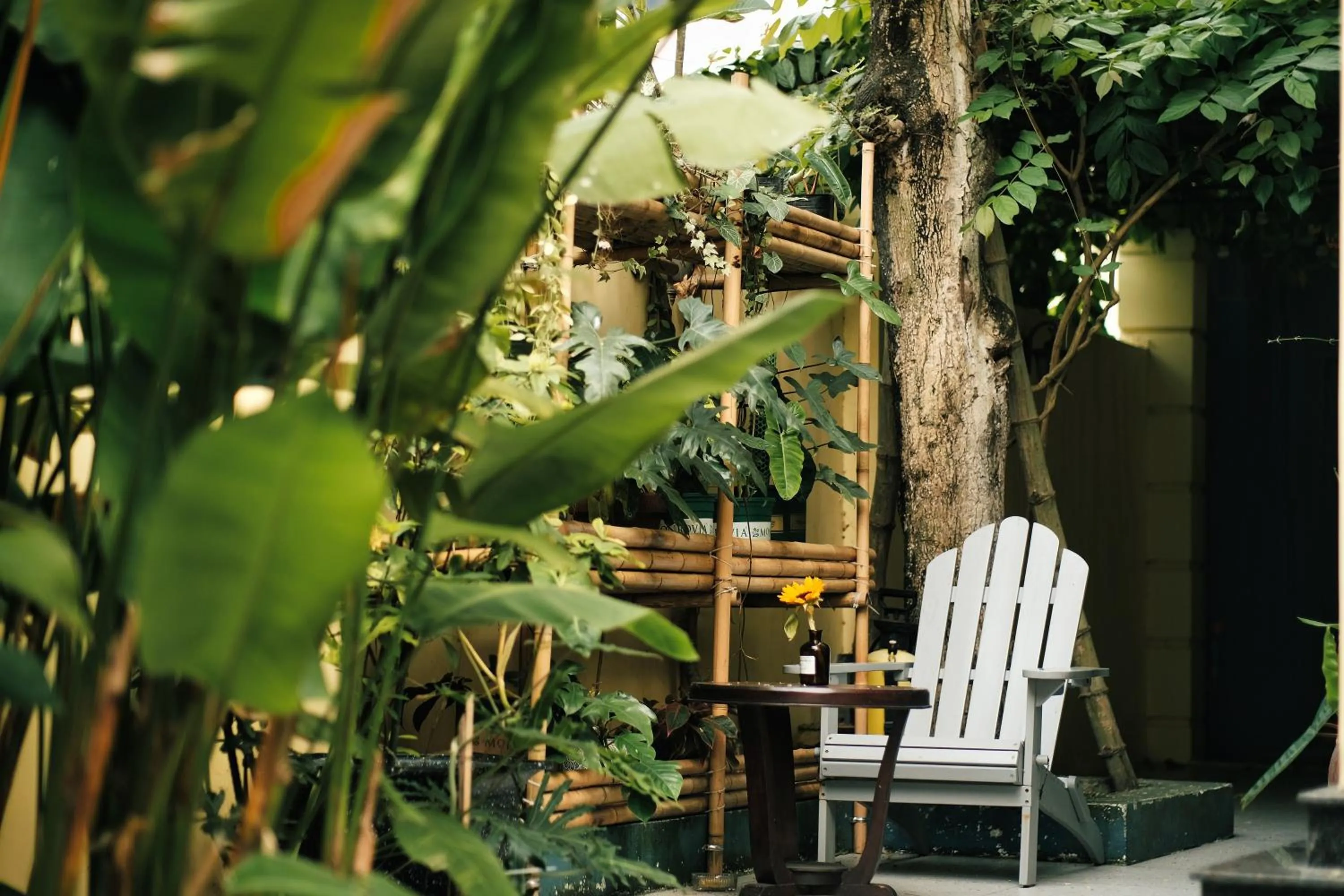 Garden in Thi Boutique Villa