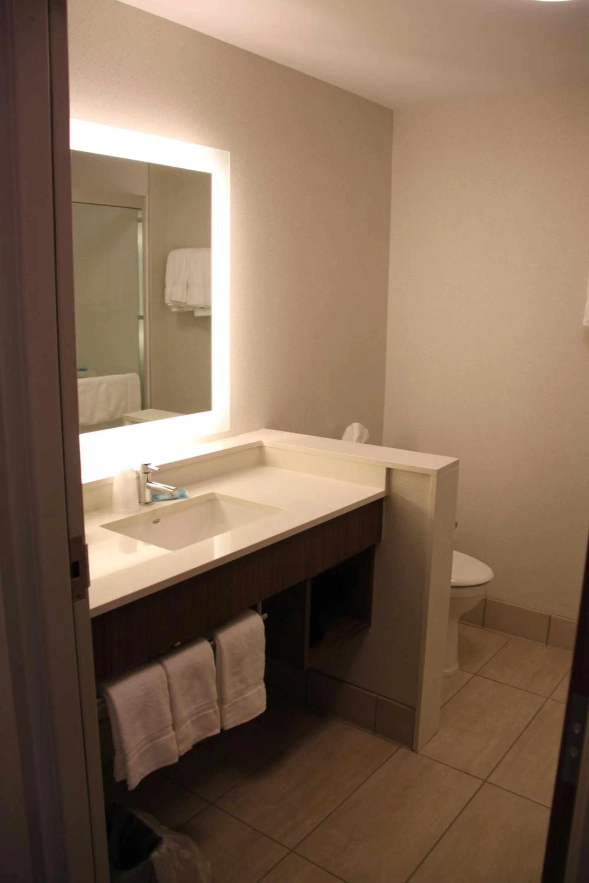 Bathroom in Holiday Inn Express - Canton by IHG