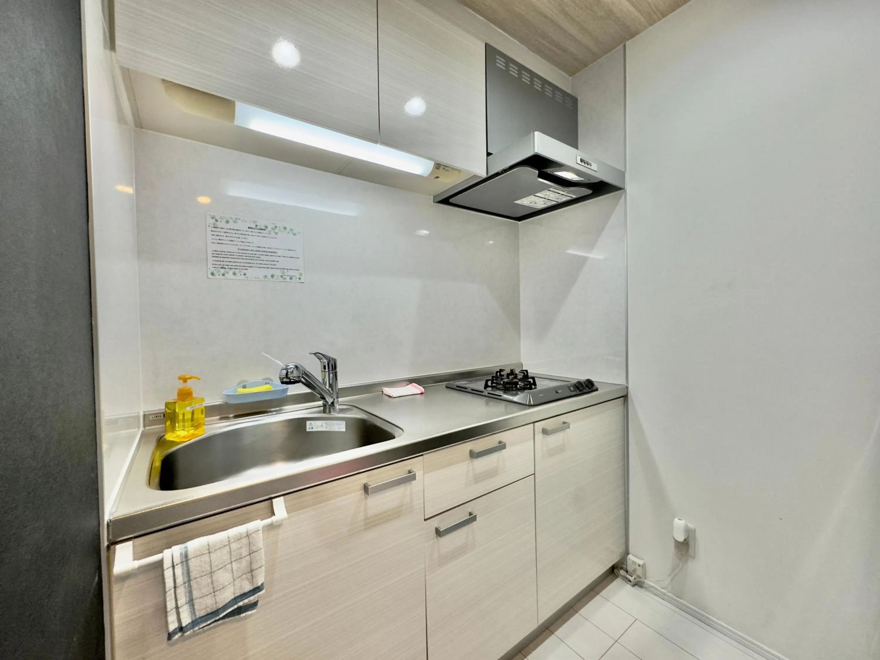 Little Island Okinawa Nago