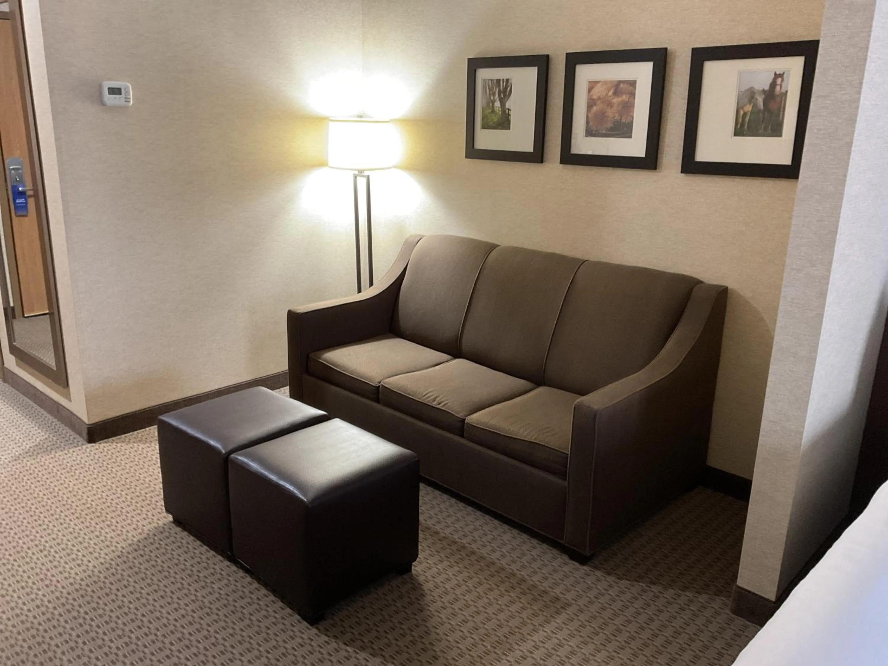 Comfort Suites Hotel and Conference Center