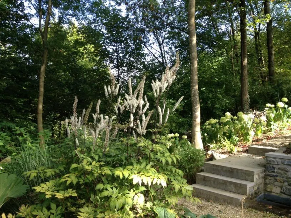 Ardenne BnB suite 1 à 4 personnes