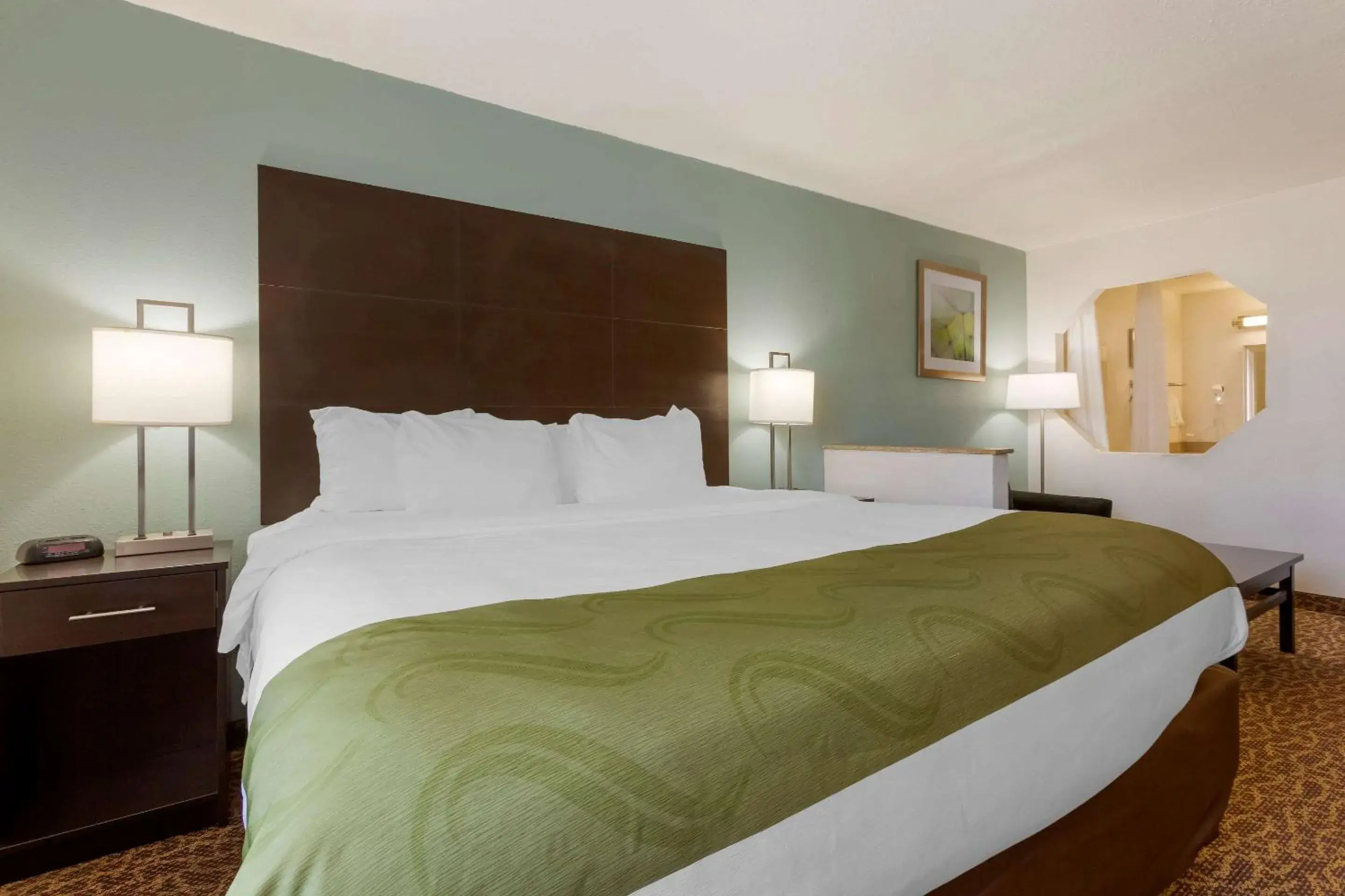 King Room with Roll-In Shower - Accessible/Non Smoking in Quality Inn Alexis Rd King Room with Roll-In Shower - Accessible/Non Smoking in Quality Inn Alexis Rd