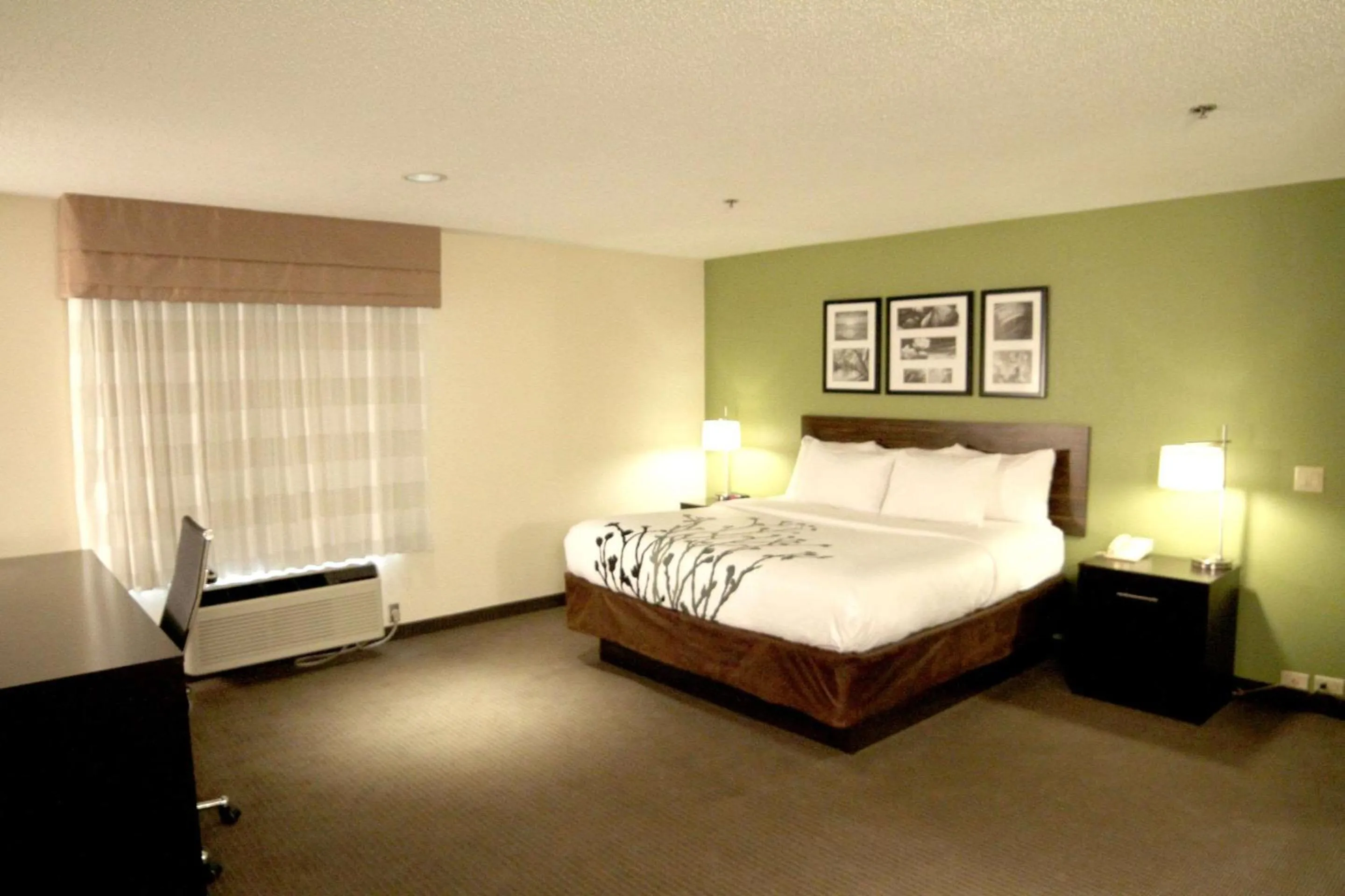 Bedroom, Bed in Sleep Inn Sandusky
