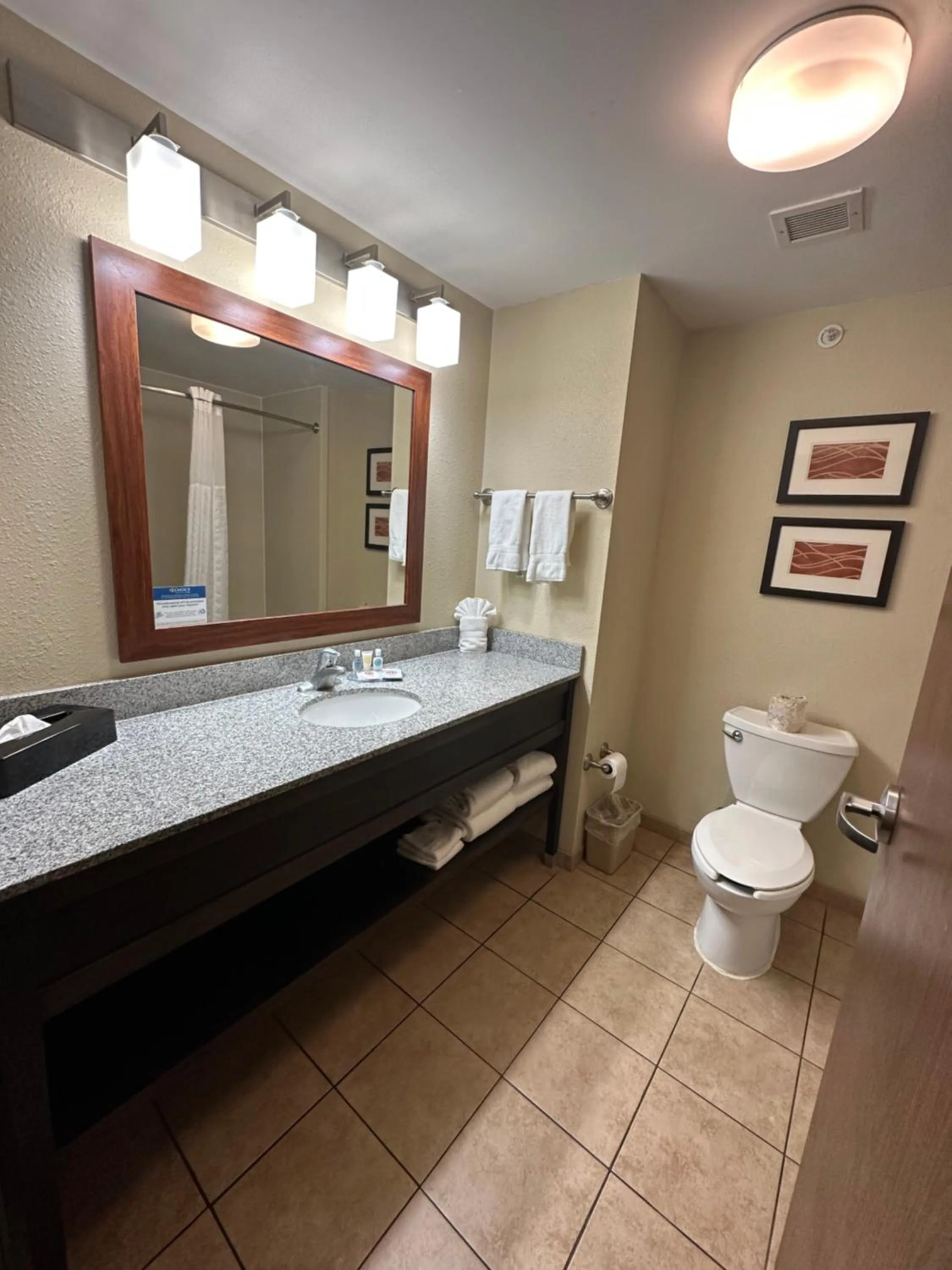 Toilet in Comfort Inn St Clairsville