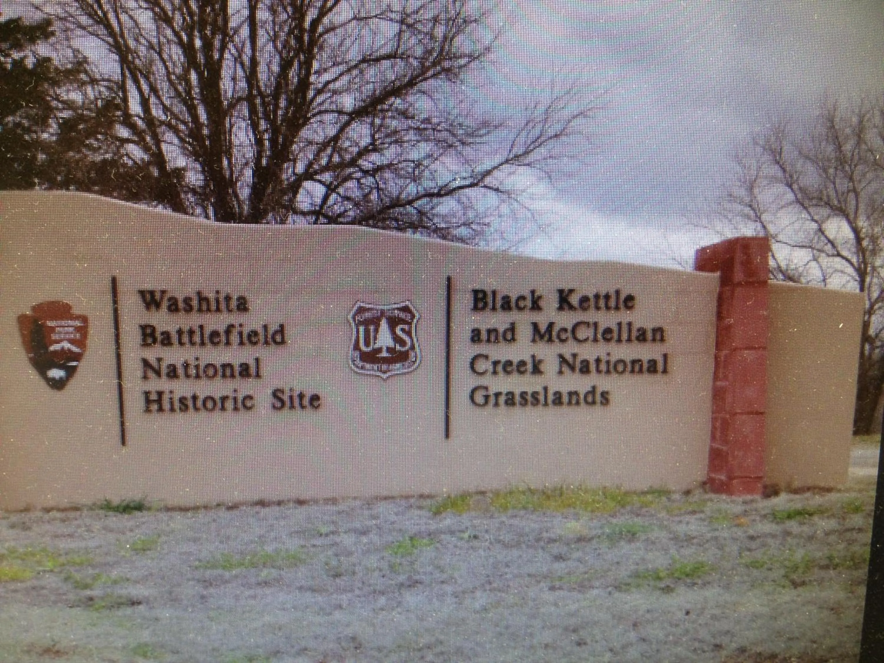 Natural landscape in American Dream Inn