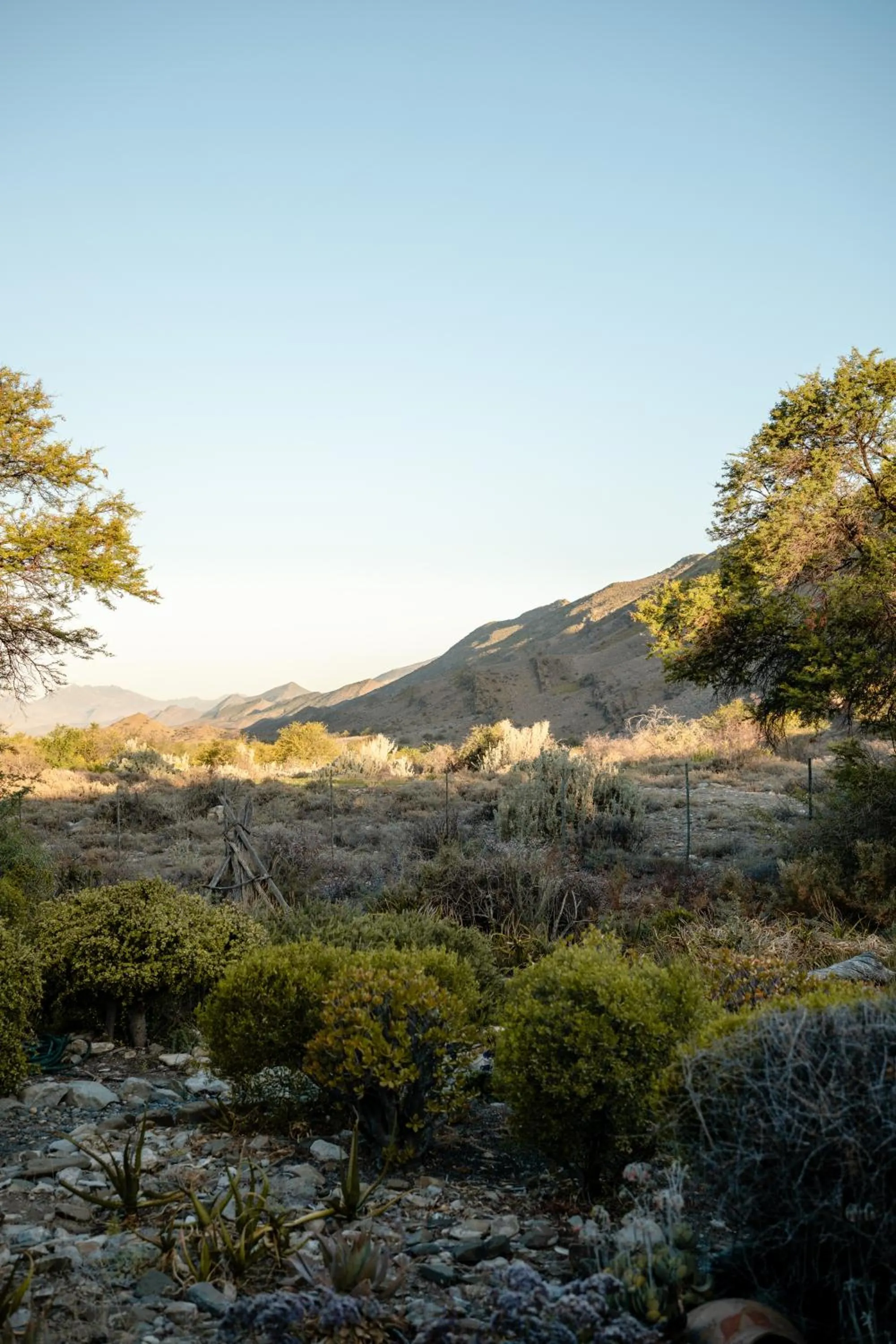 Bosch Luys Kloof Nature Reserve