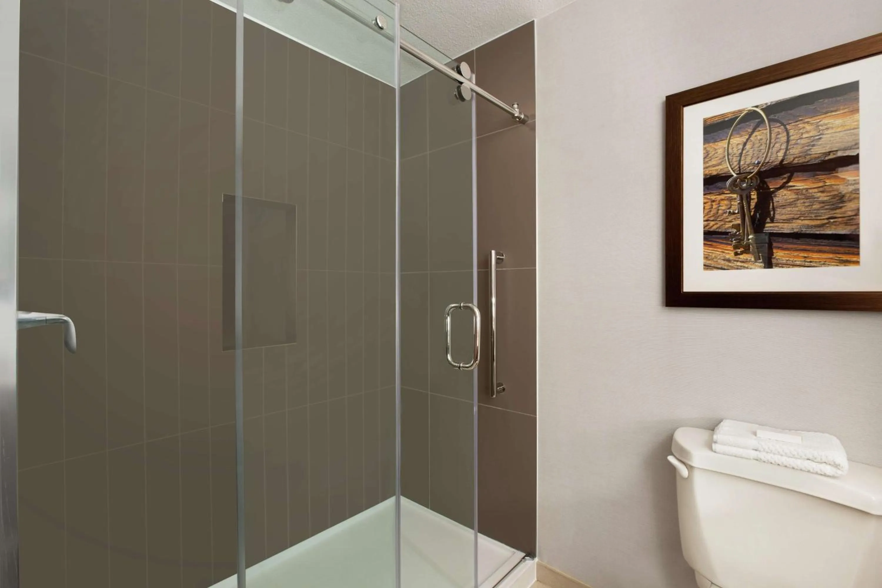 Bathroom in Embassy Suites Dallas - DFW Airport North