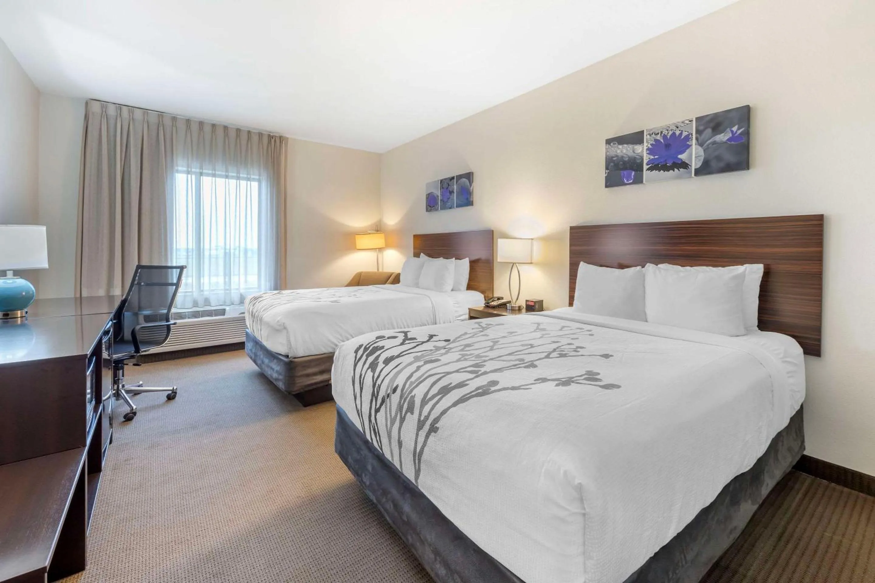 Bedroom, Bed in Sleep Inn & Suites Norman near University