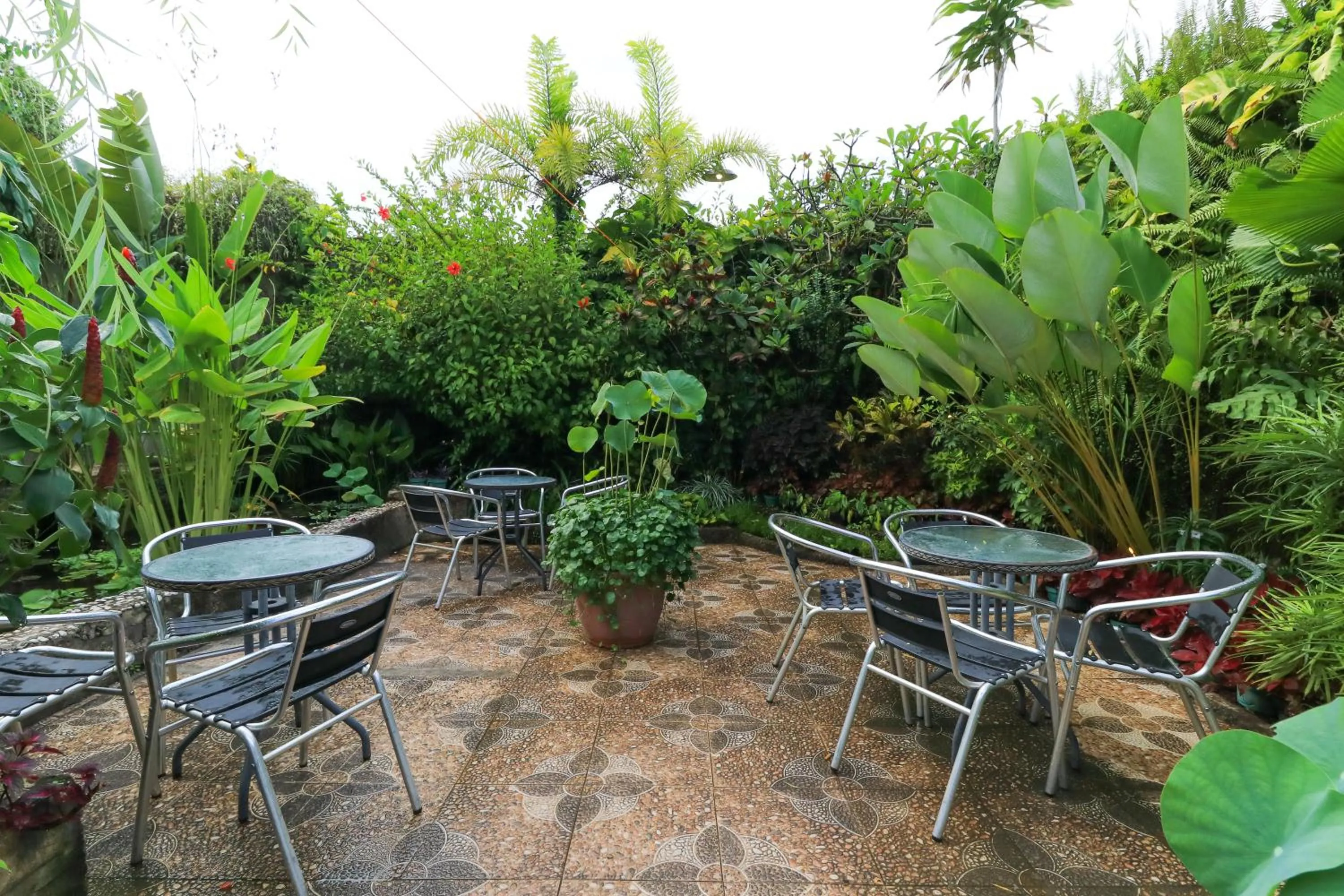 Patio in Labuana Homestay and Cafe Garden Makassar