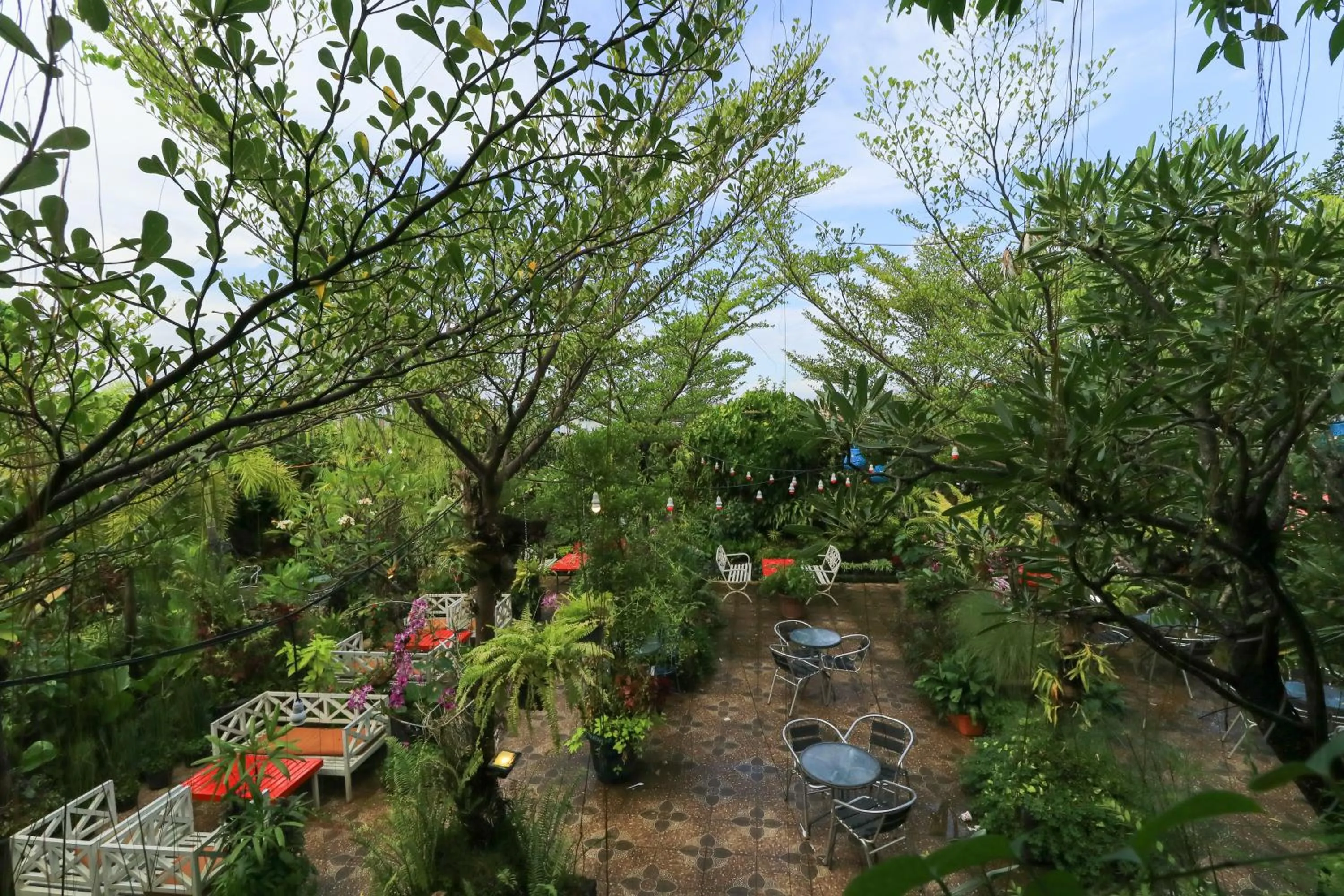 Garden in Labuana Homestay and Cafe Garden Makassar