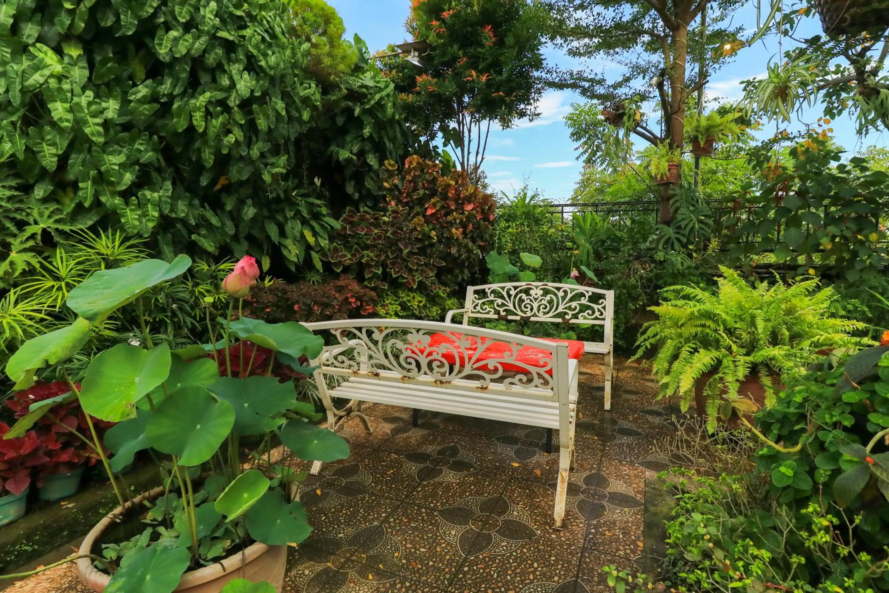 Garden in Labuana Homestay and Cafe Garden Makassar