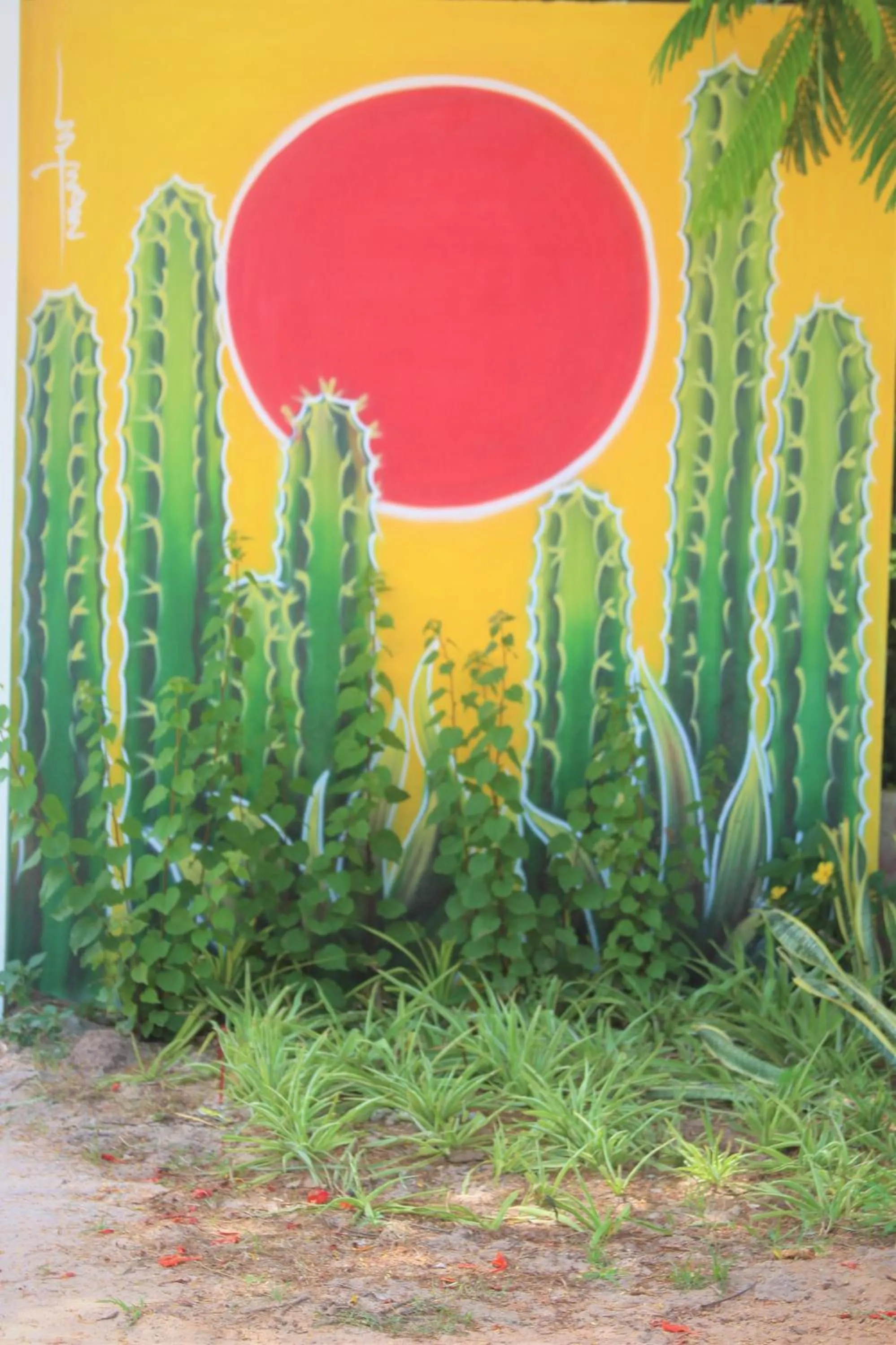 Đồi Dừa Homestay