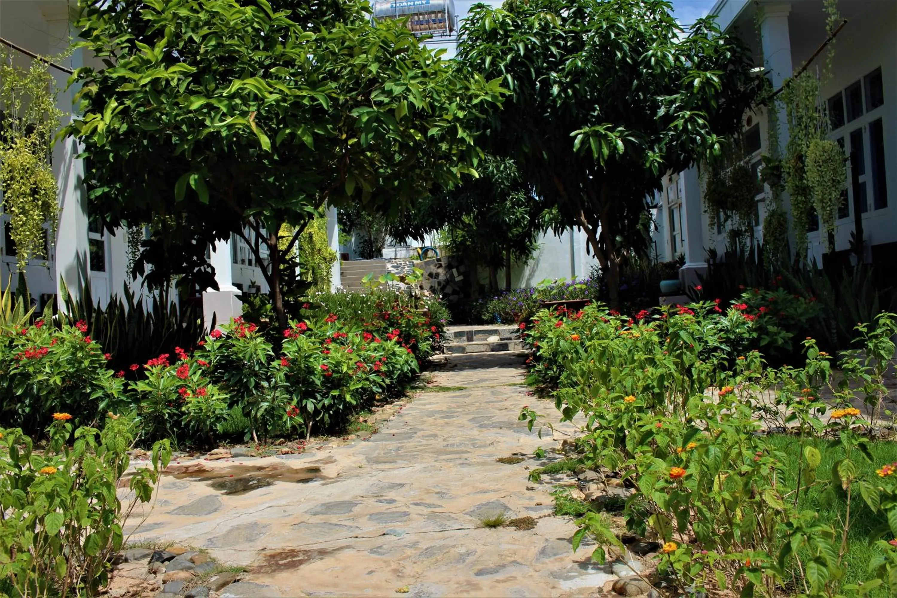 Đồi Dừa Homestay