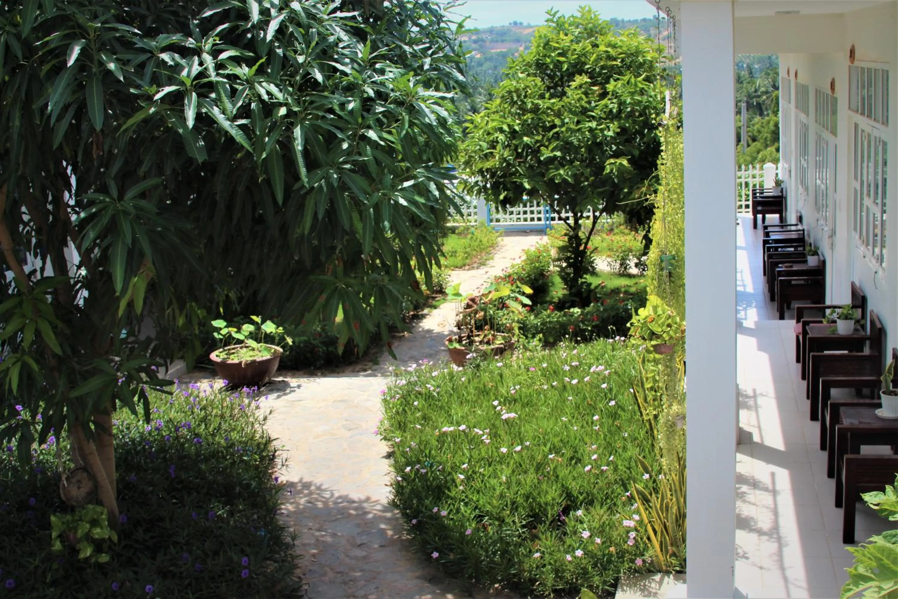 Đồi Dừa Homestay