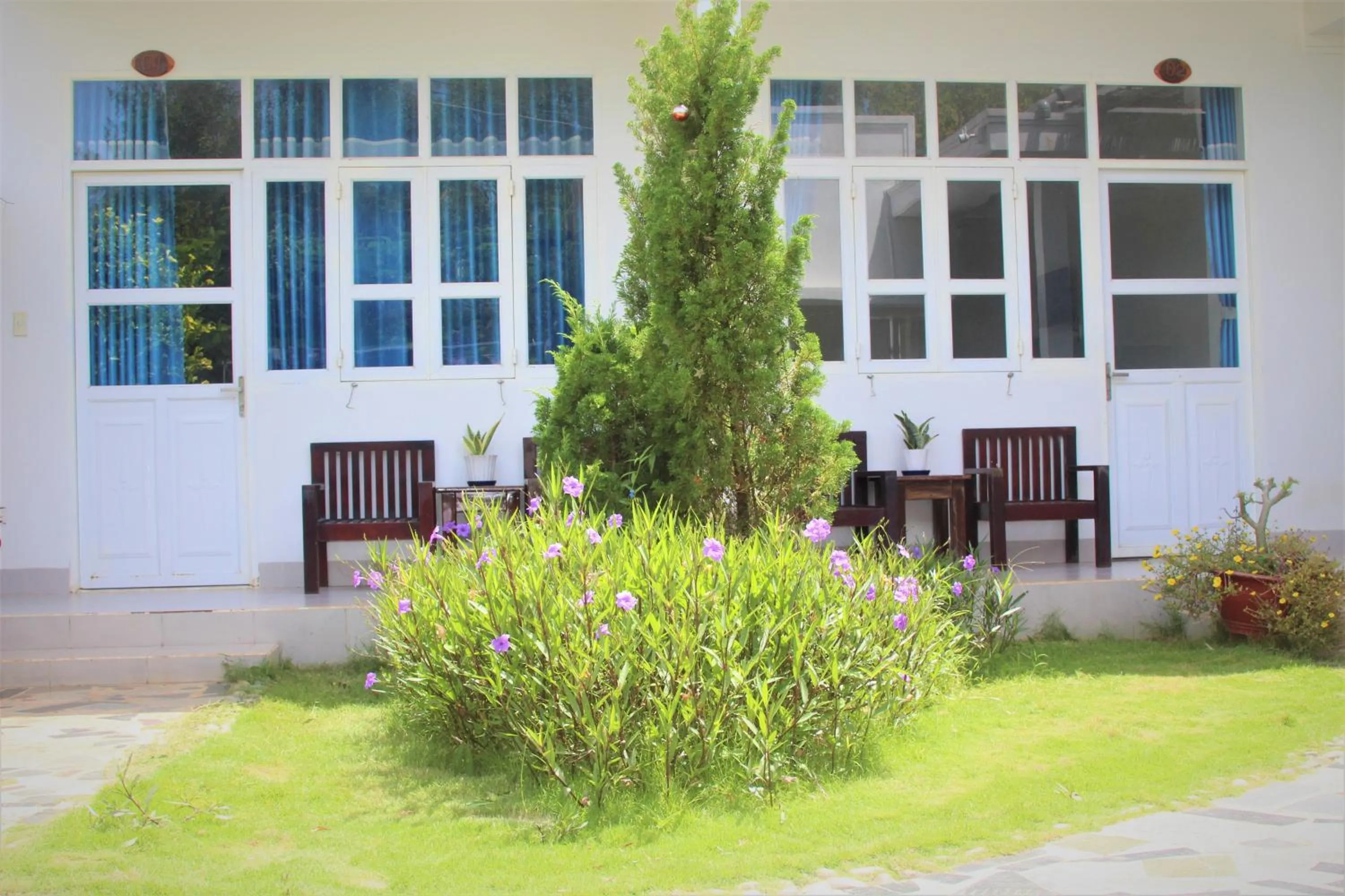 Đồi Dừa Homestay