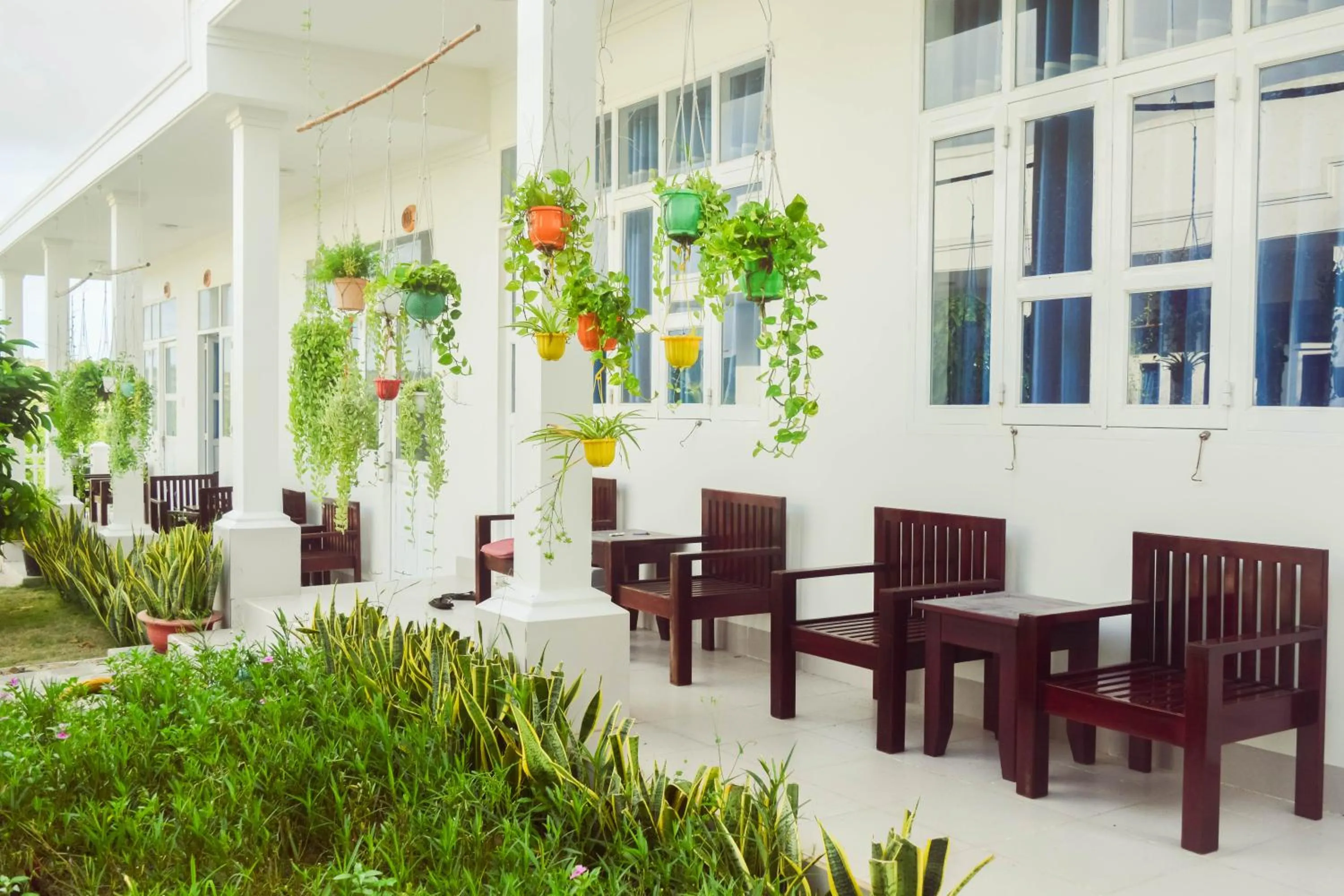 Đồi Dừa Homestay