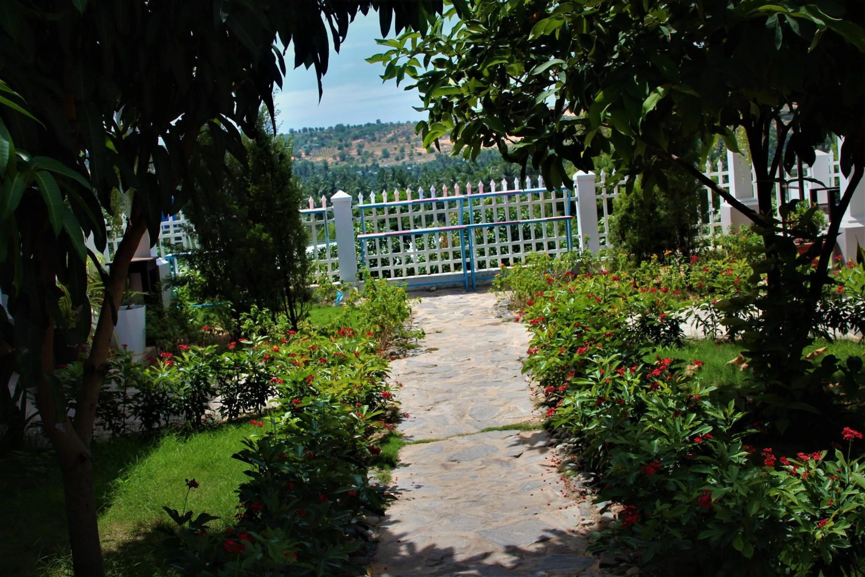 Đồi Dừa Homestay