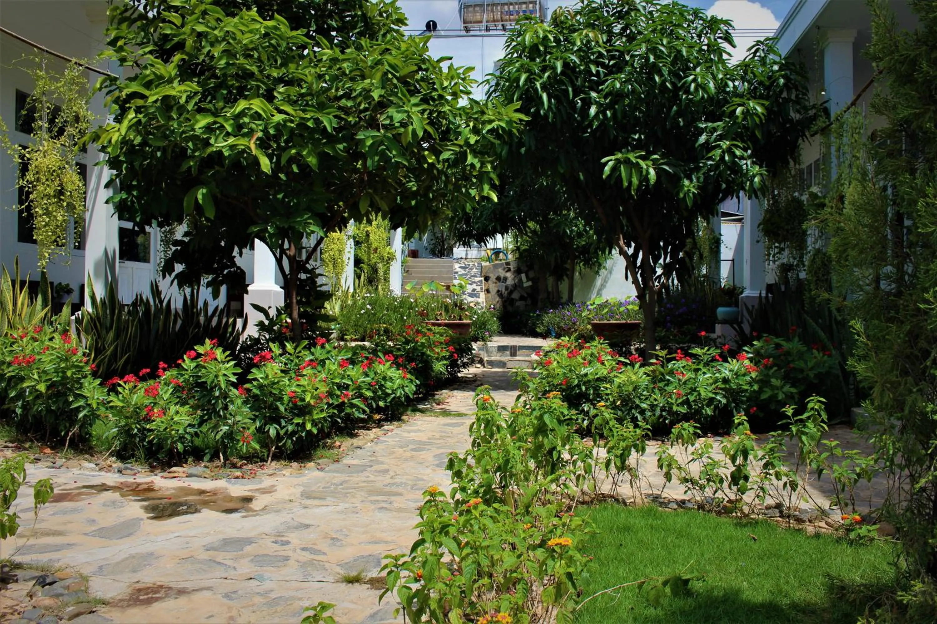 Đồi Dừa Homestay