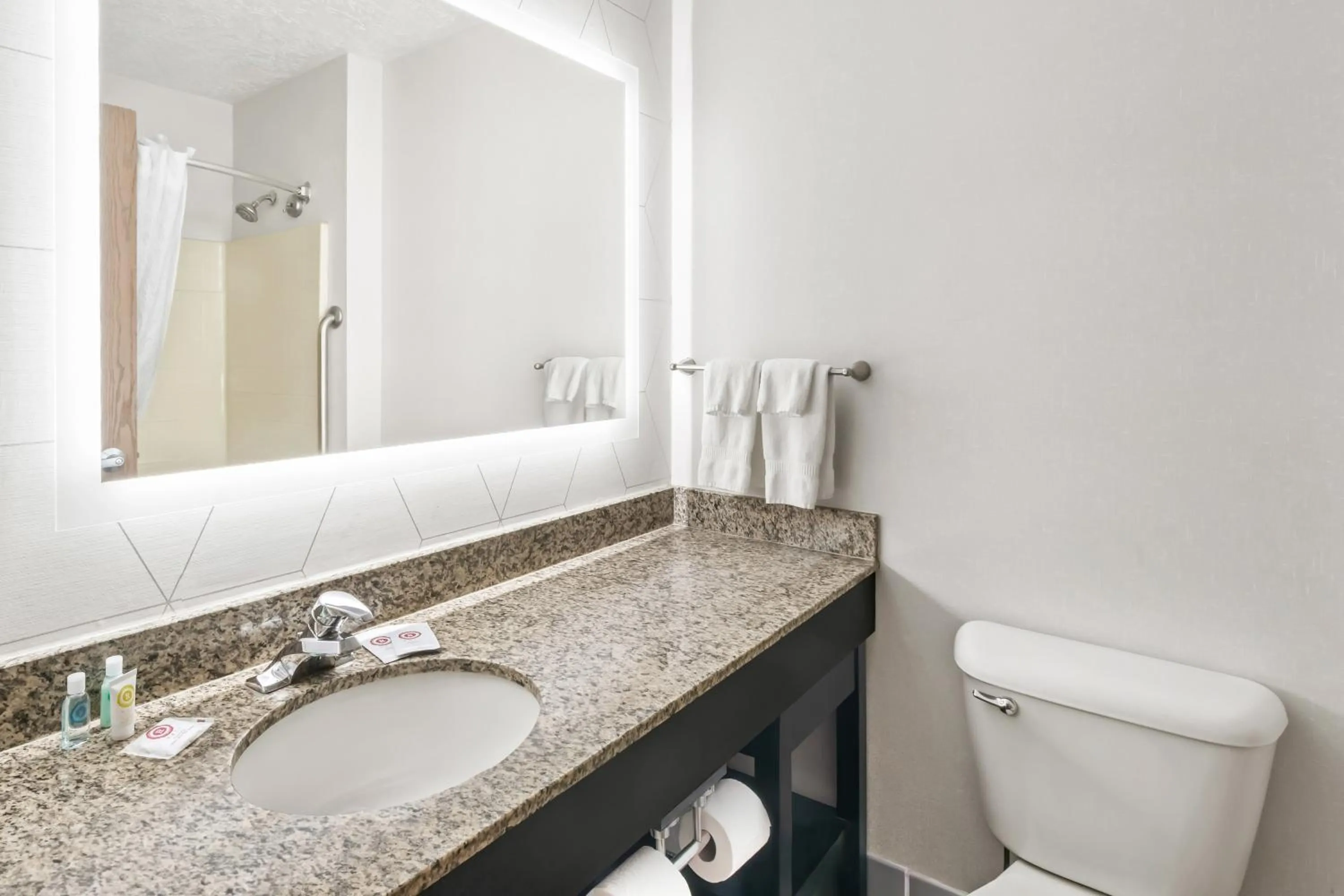 Bathroom in Comfort Suites Clackamas