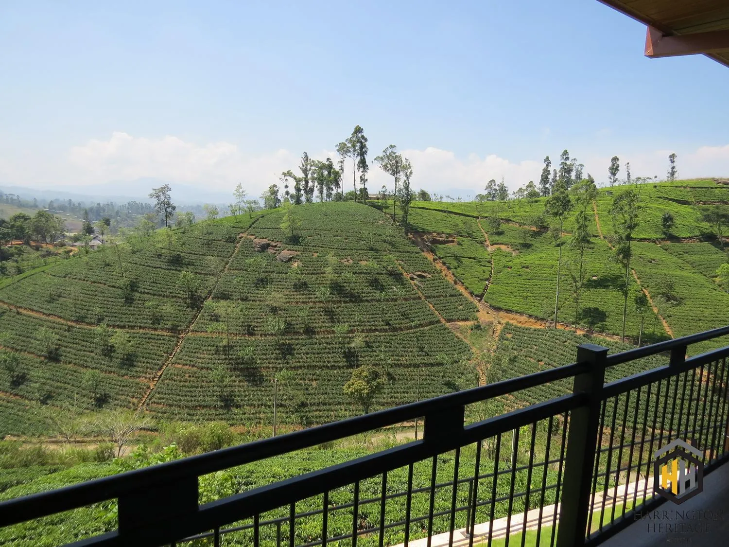 Balcony/Terrace in Harrington Heritage