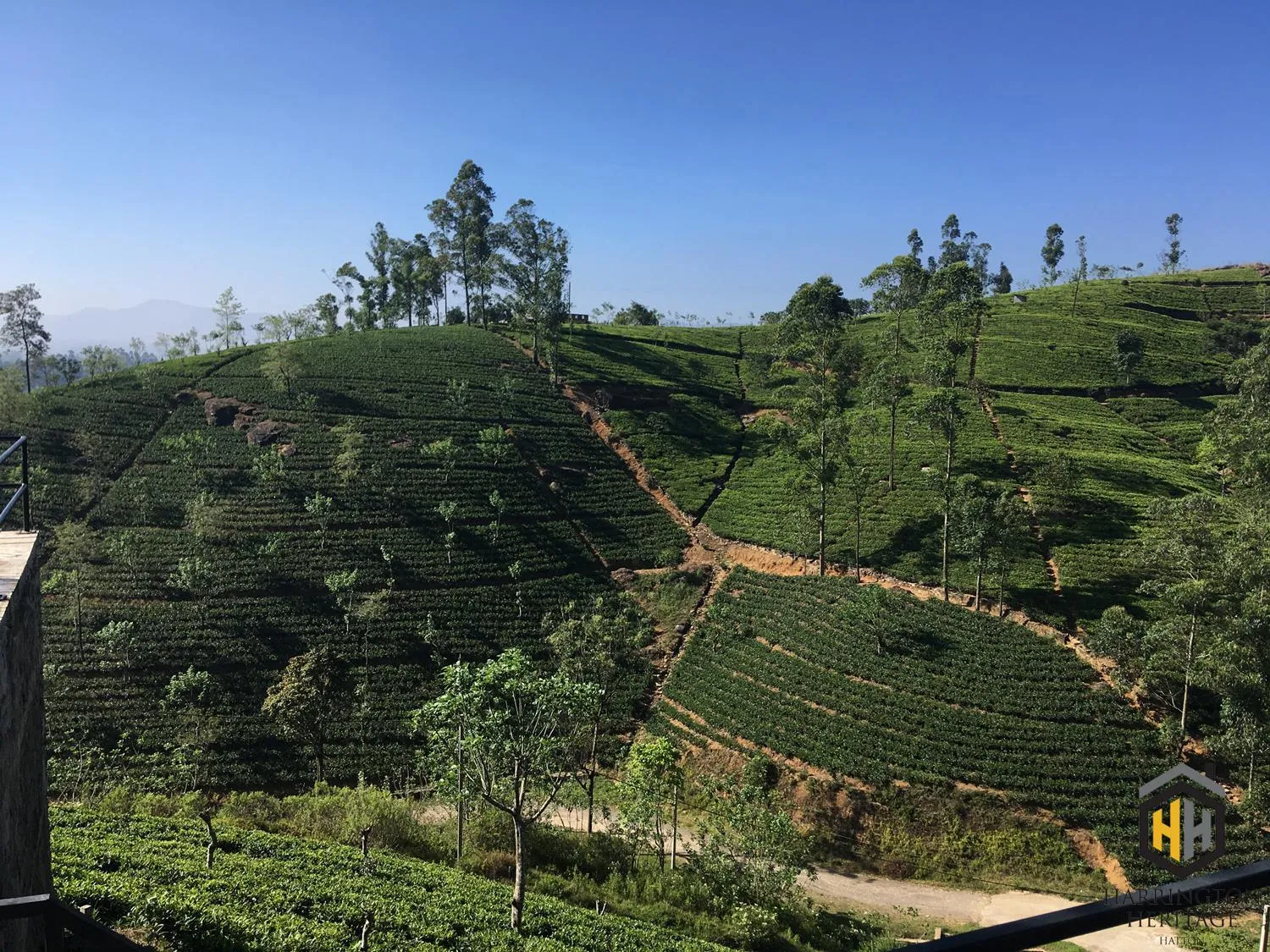 Natural landscape in Harrington Heritage
