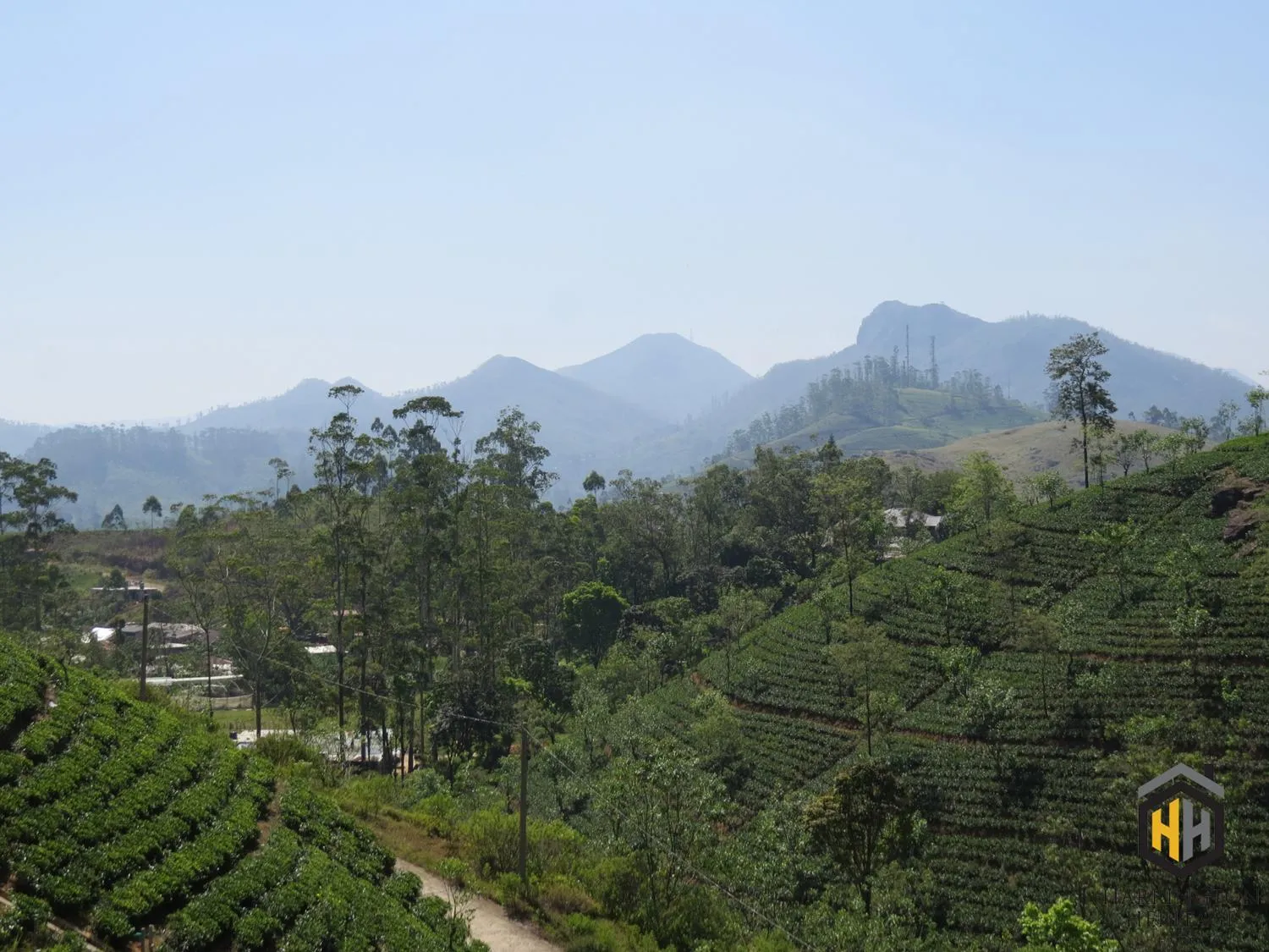 Mountain view in Harrington Heritage