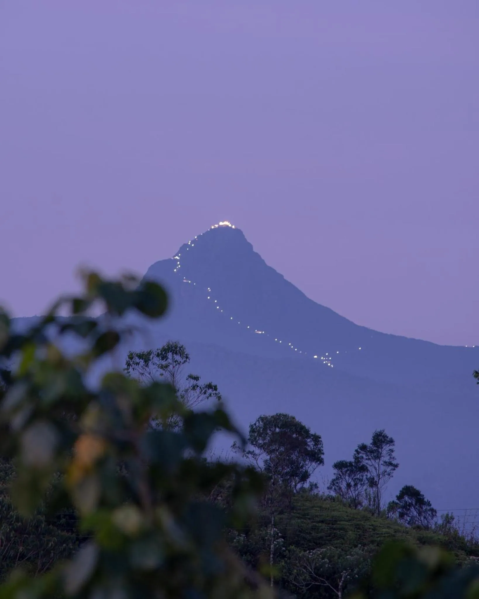 Night in Harrington Heritage