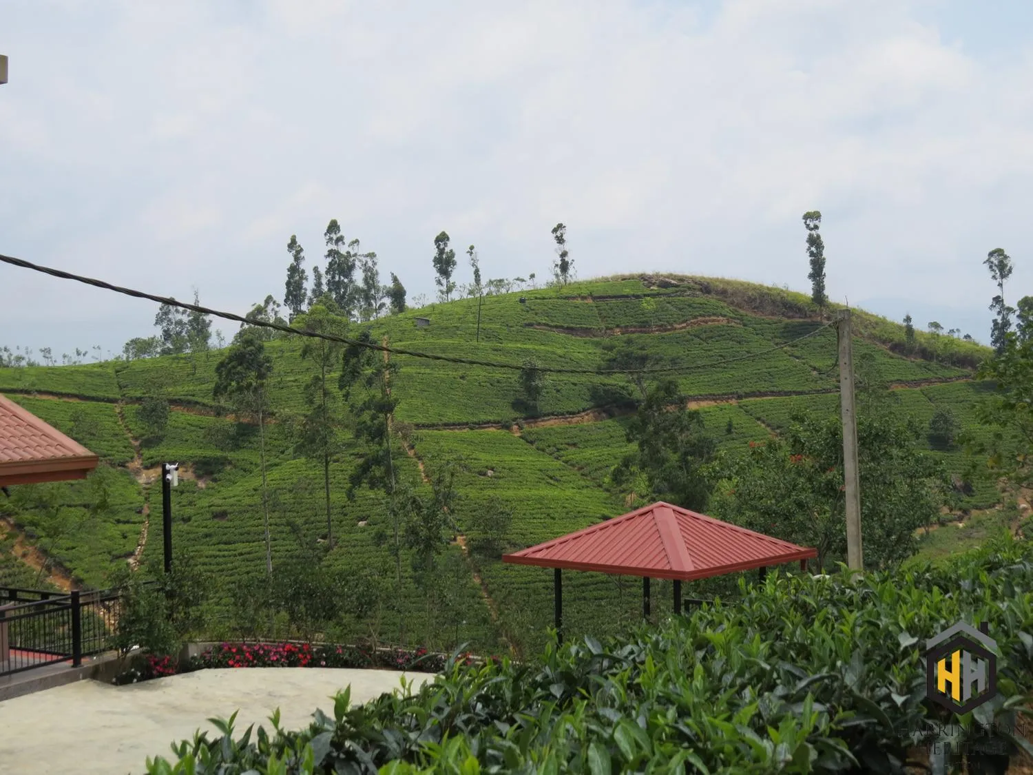 Natural landscape in Harrington Heritage