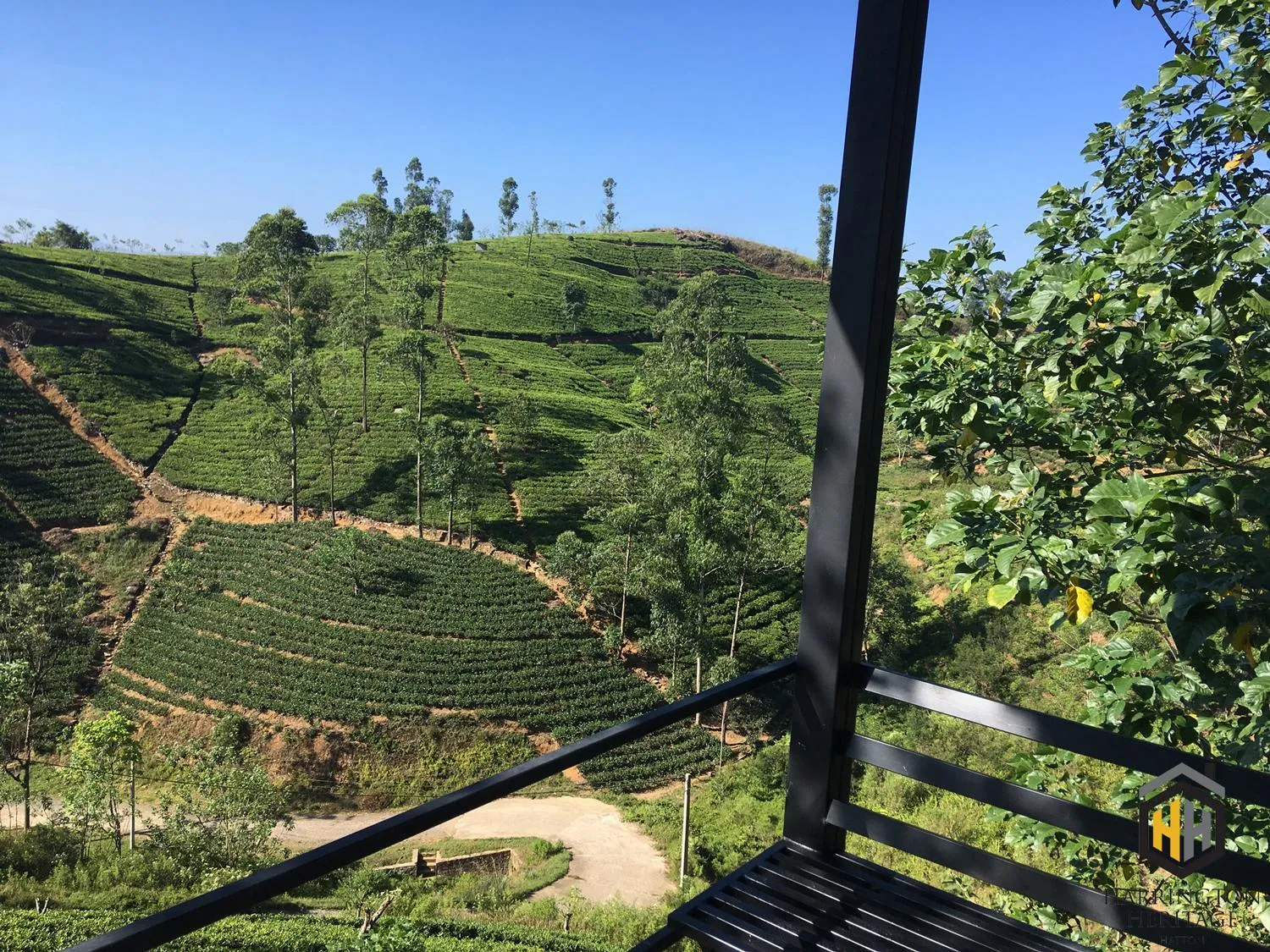 Natural landscape in Harrington Heritage