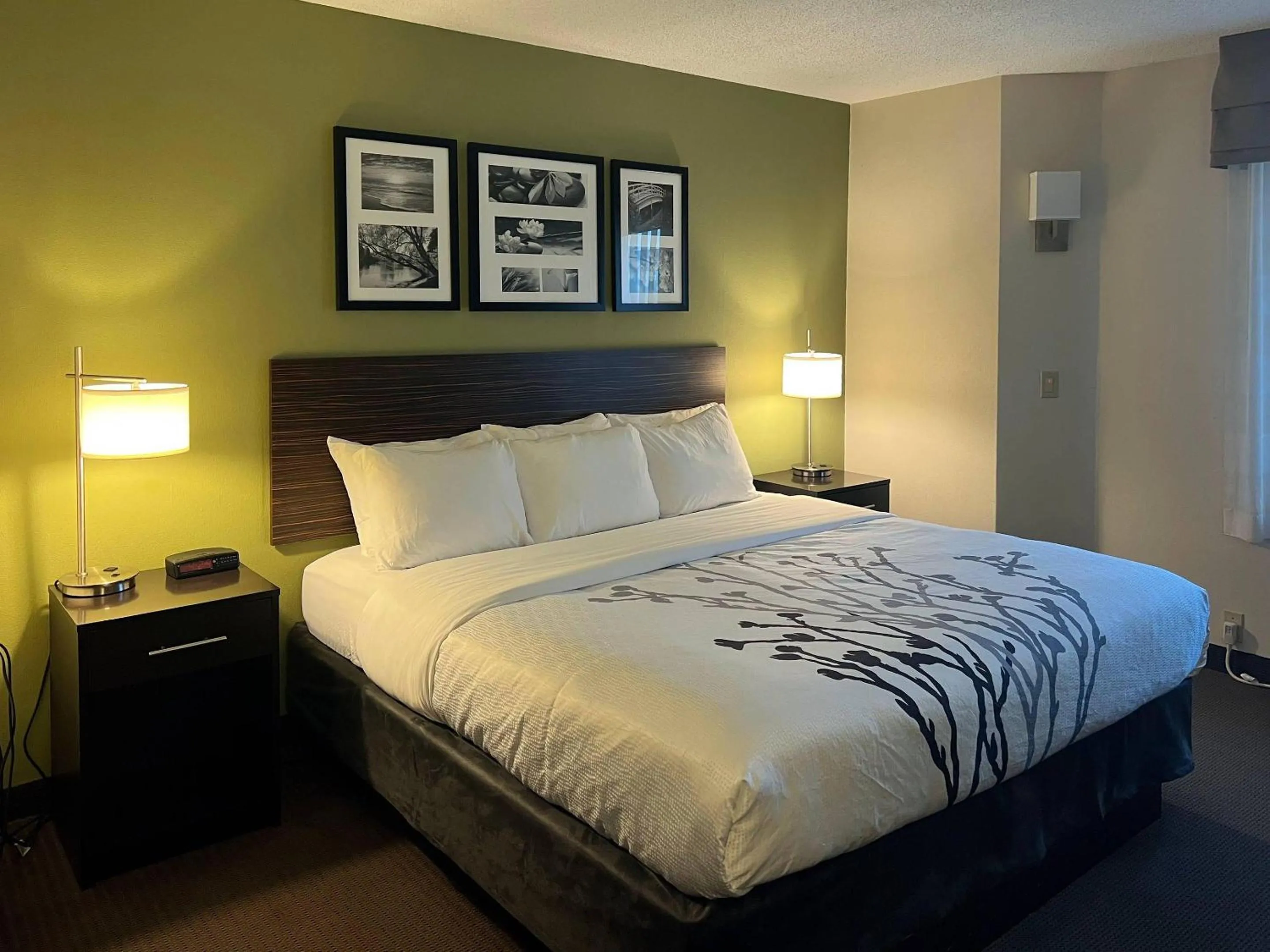 Bedroom in Sleep Inn & Suites Roseburg North Near Medical Center
