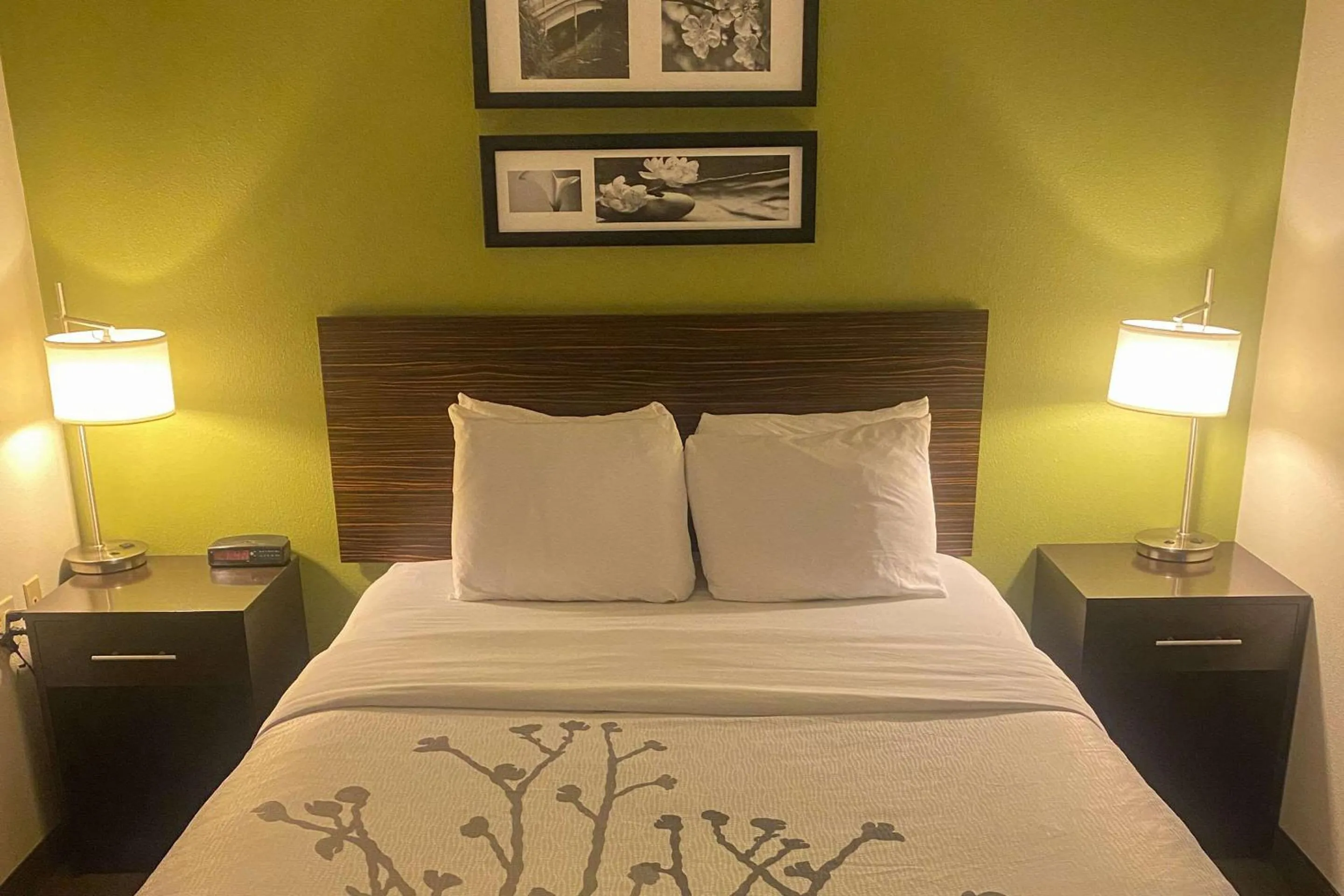 Queen Room - Non-Smoking in Sleep Inn & Suites Roseburg North Near Medical Center