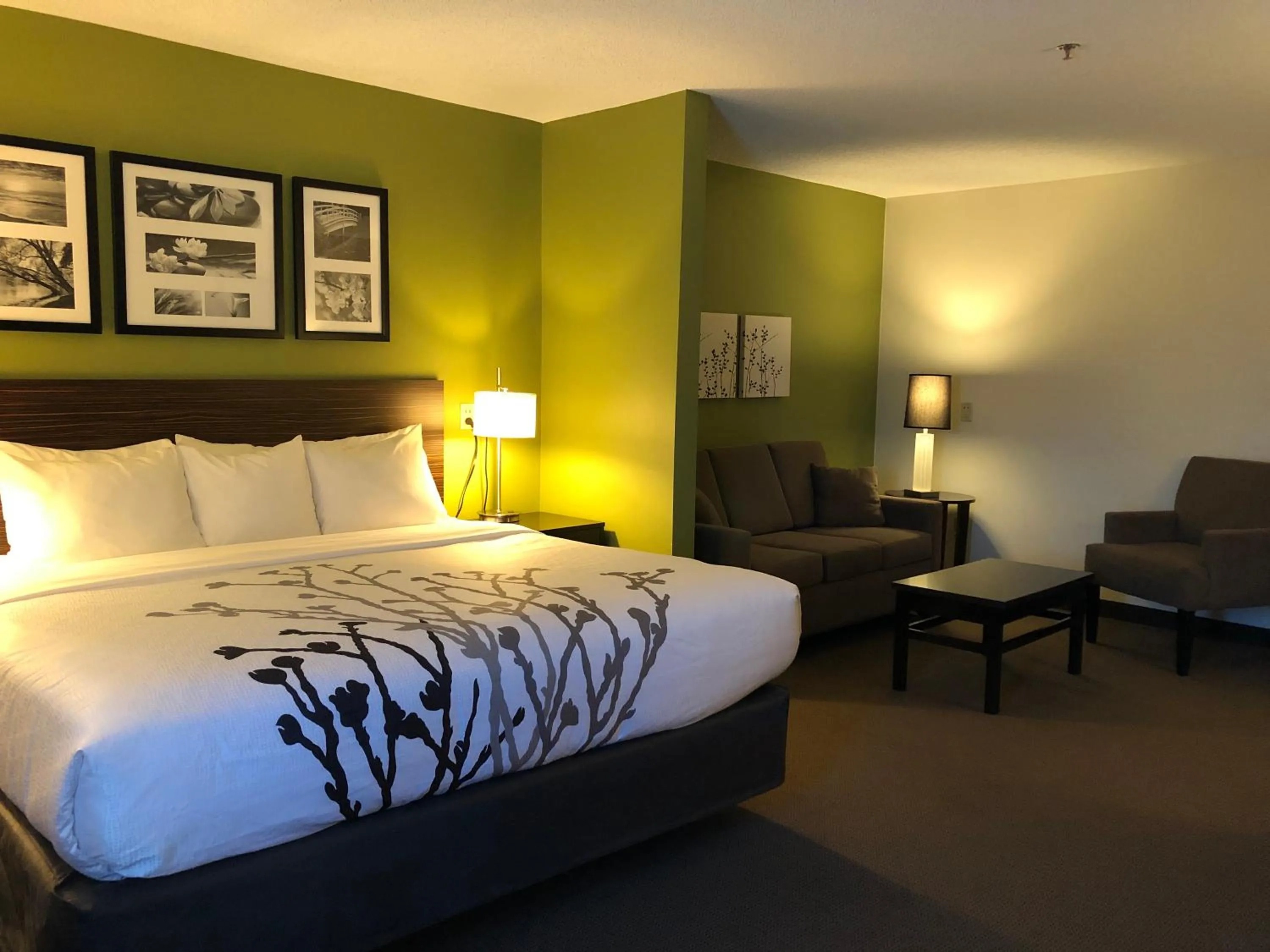 Photo of the whole room in Sleep Inn & Suites Roseburg North Near Medical Center