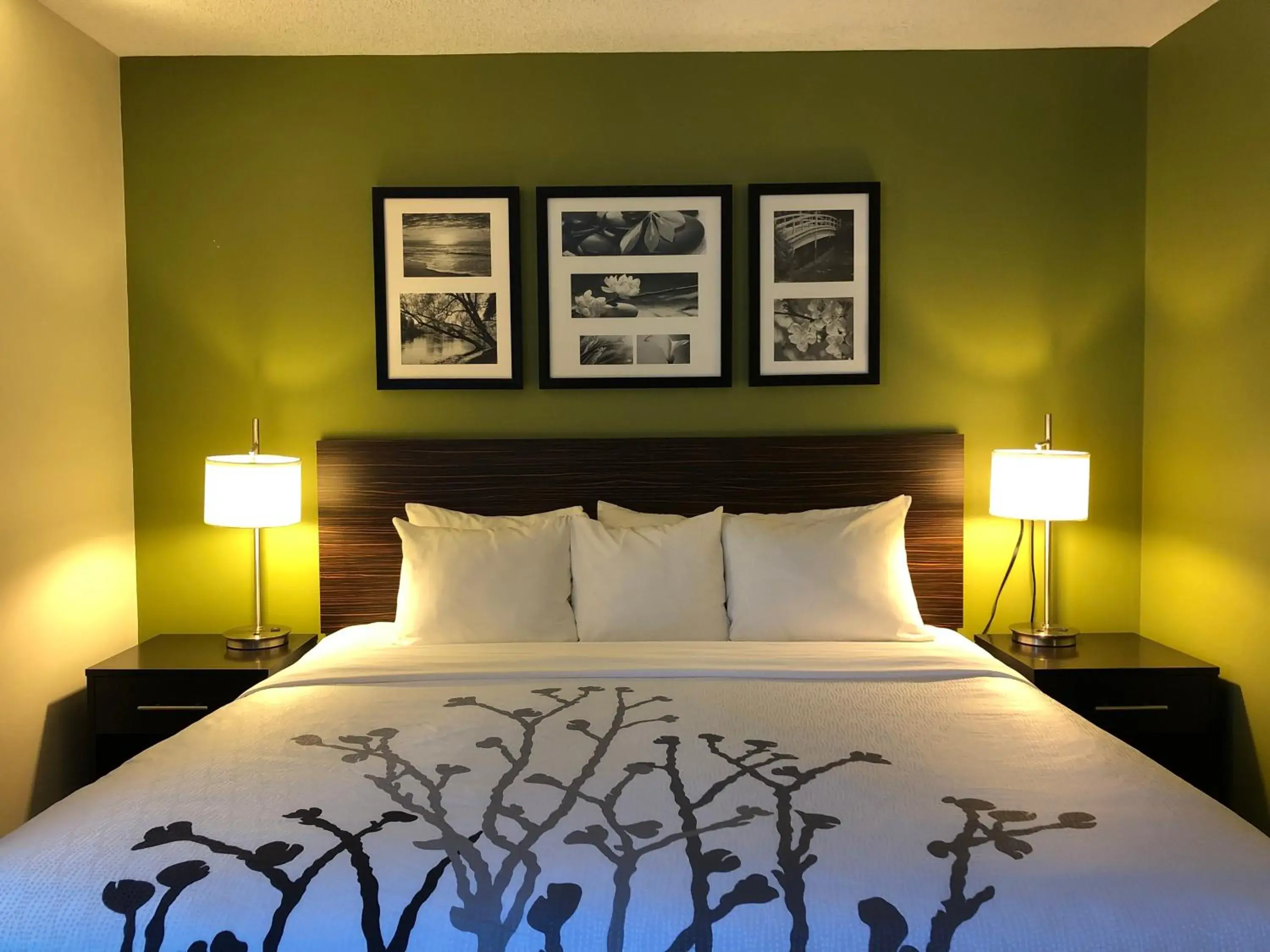 King Room - Non Smoking/Interior Hall in Sleep Inn & Suites Roseburg North Near Medical Center King Room - Non Smoking/Interior Hall in Sleep Inn & Suites Roseburg North Near Medical Center