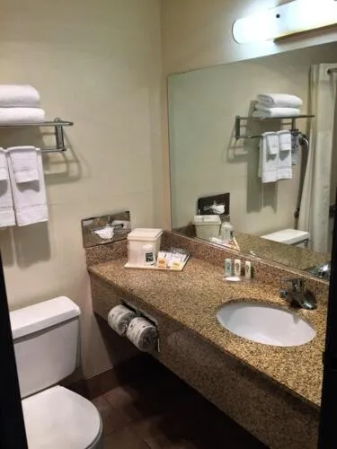 Bathroom in Quality Inn & Suites Springfield - Eugene North