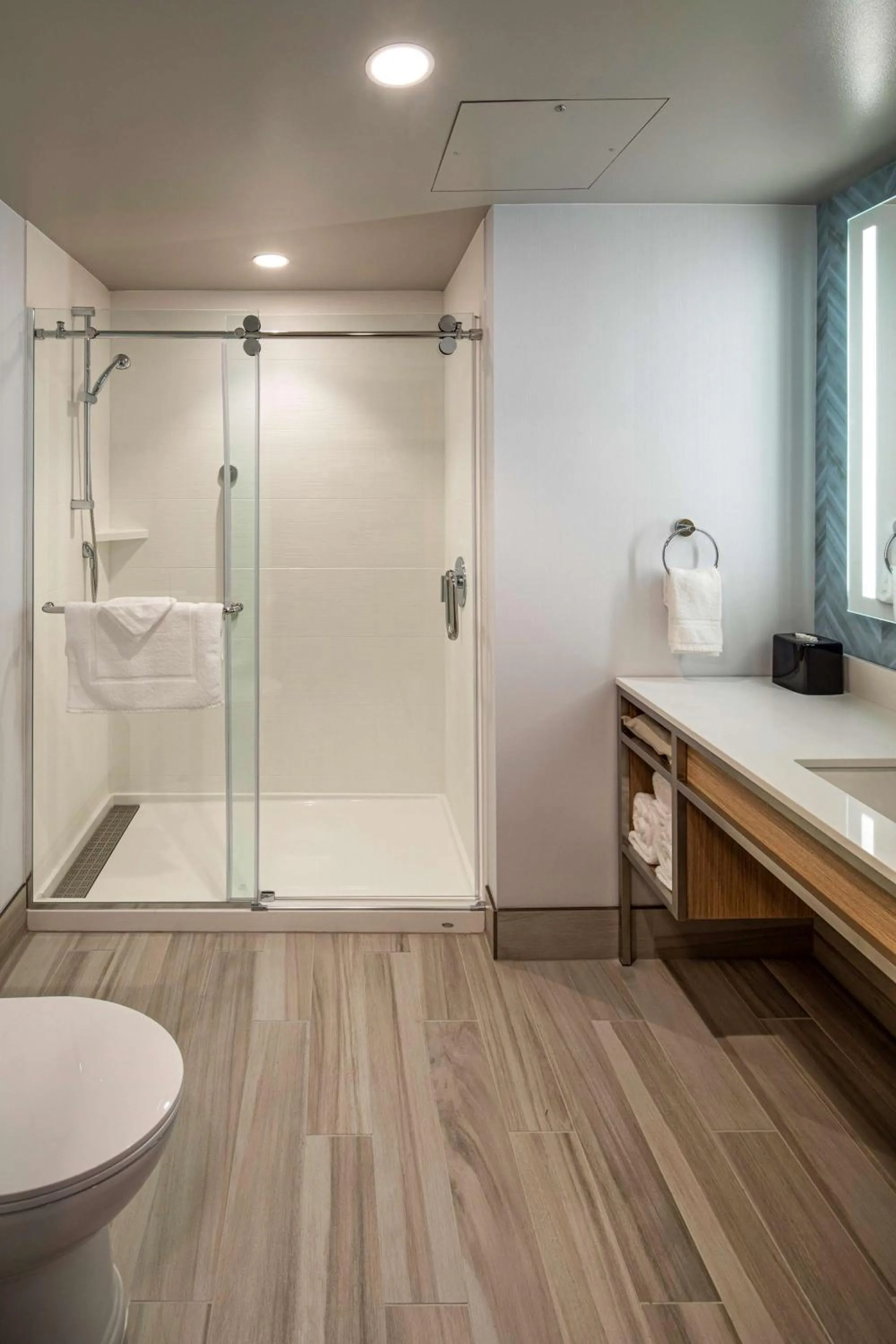 Bathroom in Hilton Garden Inn Wilsonville Portland