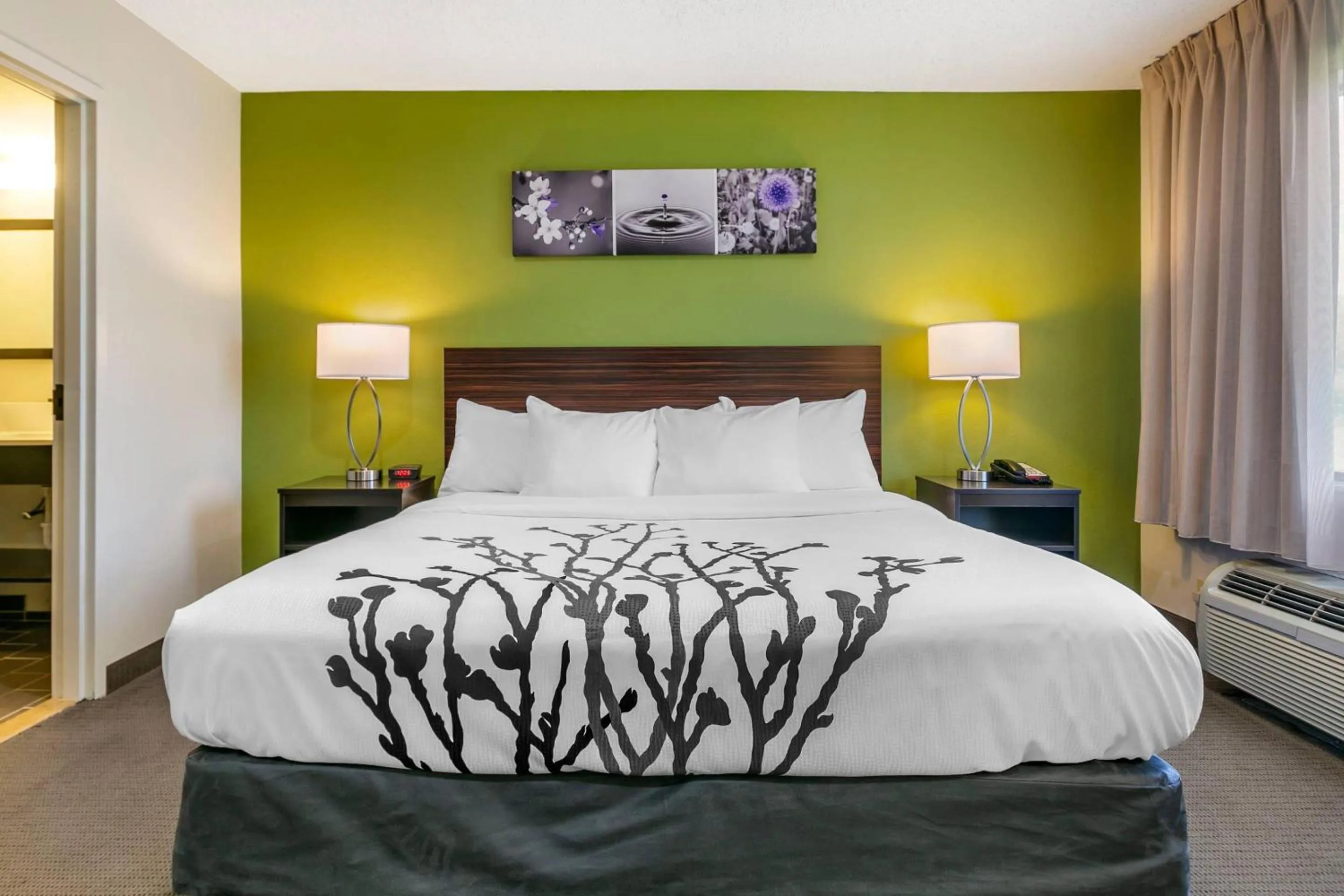 Bedroom, Bed in Sleep Inn Allentown-Fogelsville