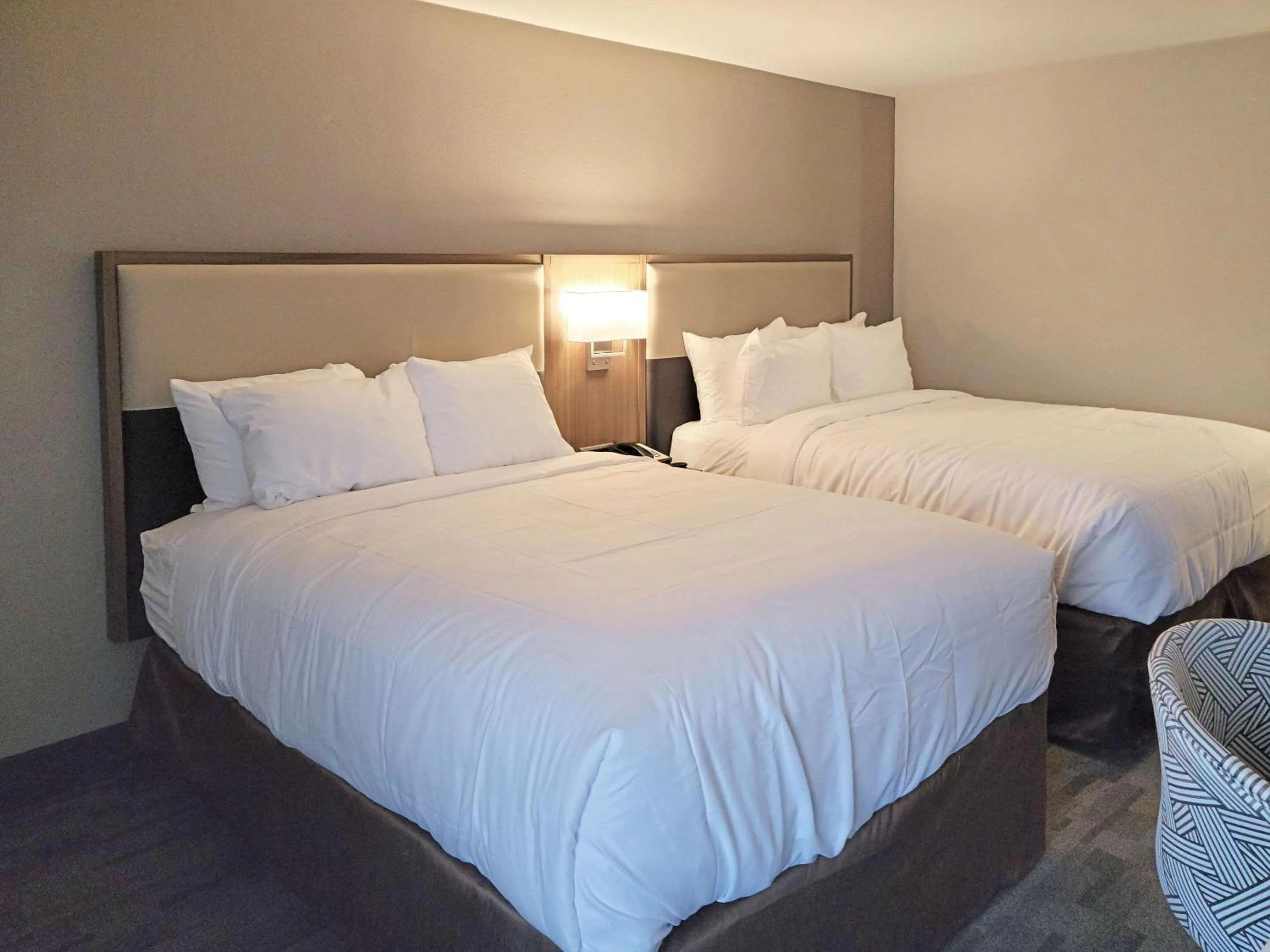 Photo of the whole room, Bed in Comfort Inn & Suites Wyomissing-Reading