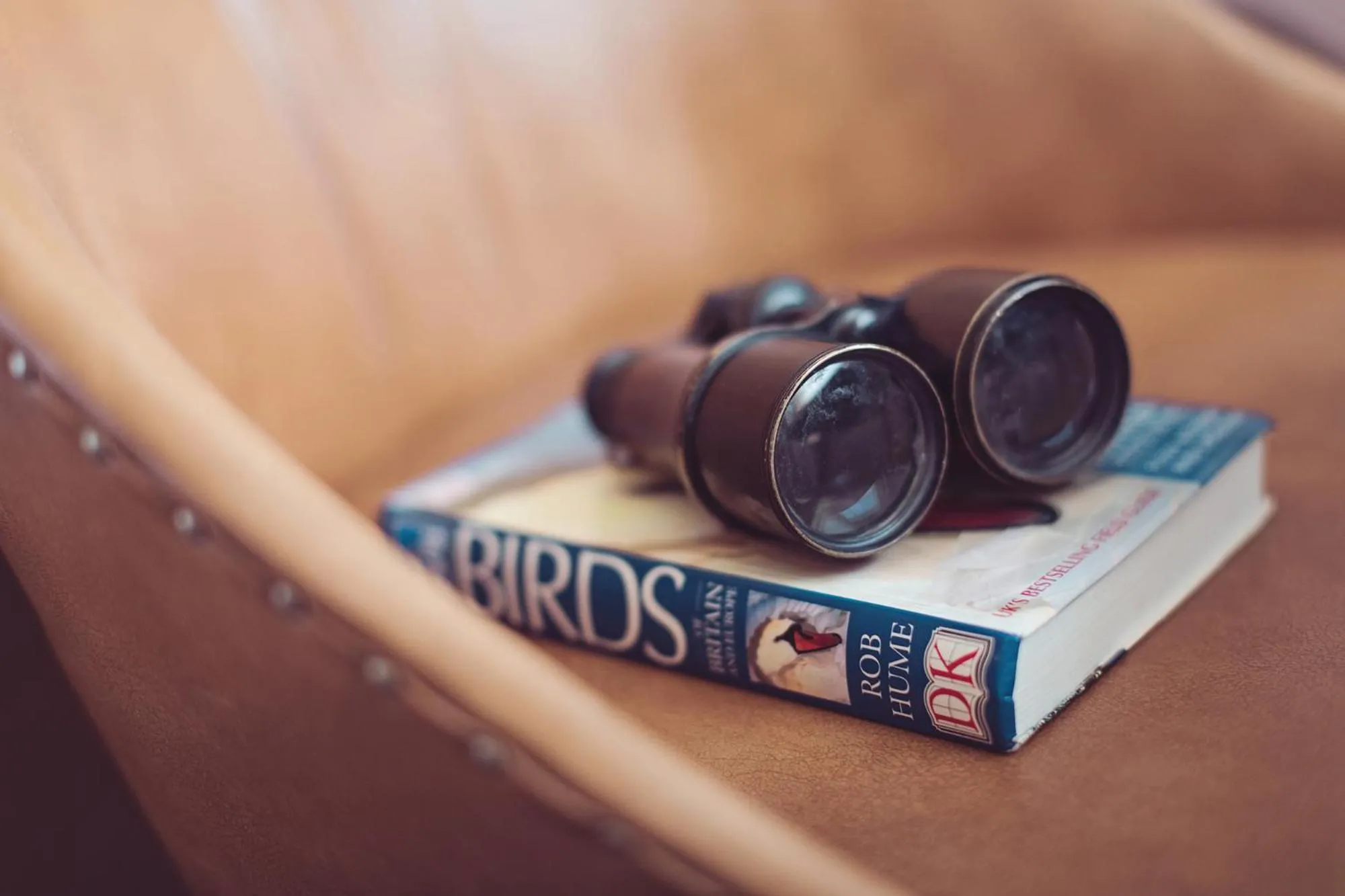Bedroom in The New Inn