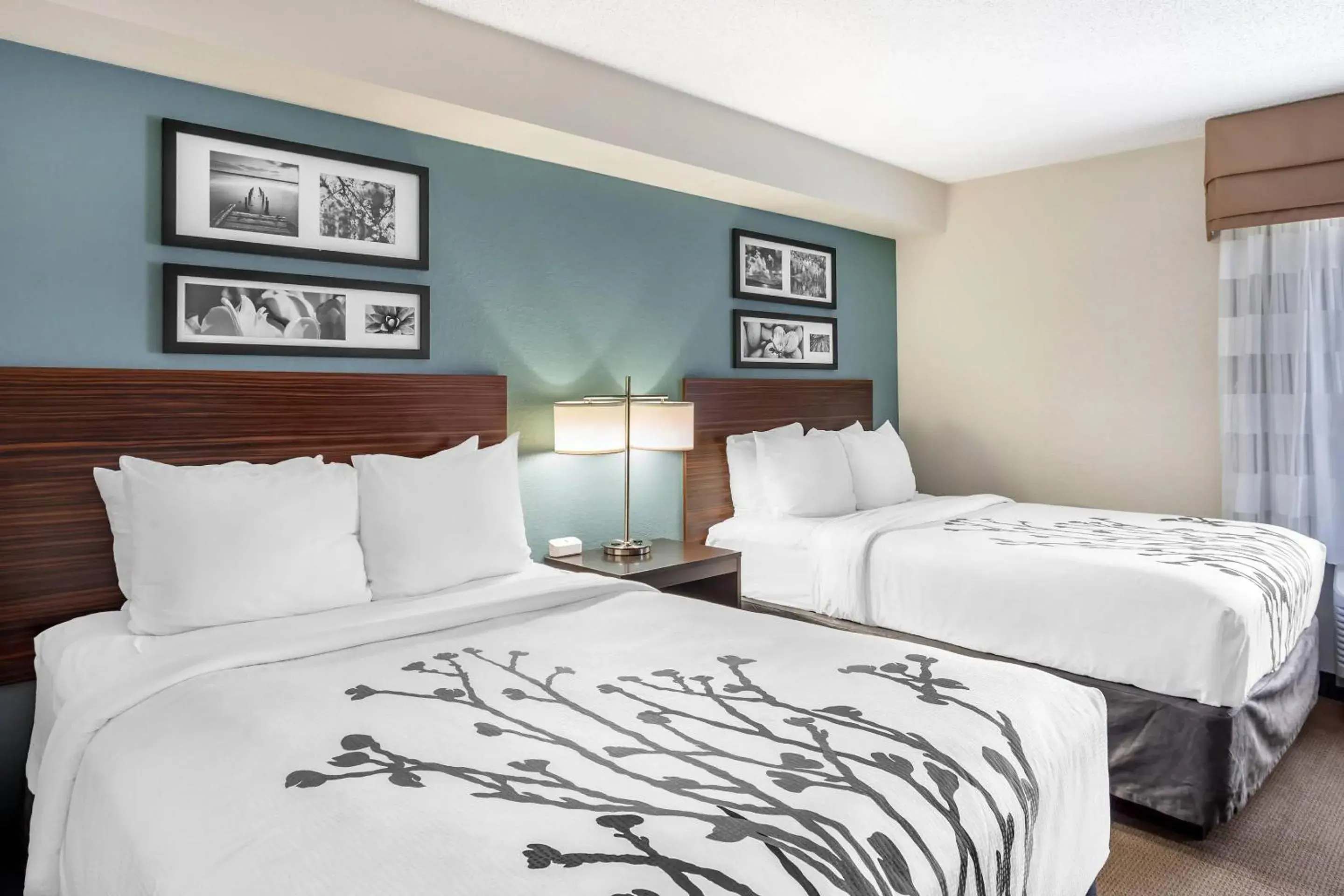 Double Room with Two Double Beds - Non-Smoking in Sleep Inn State College near Penn State - Less than 1 Mile to PSU! Double Room with Two Double Beds - Non-Smoking in Sleep Inn State College near Penn State - Less than 1 Mile to PSU!