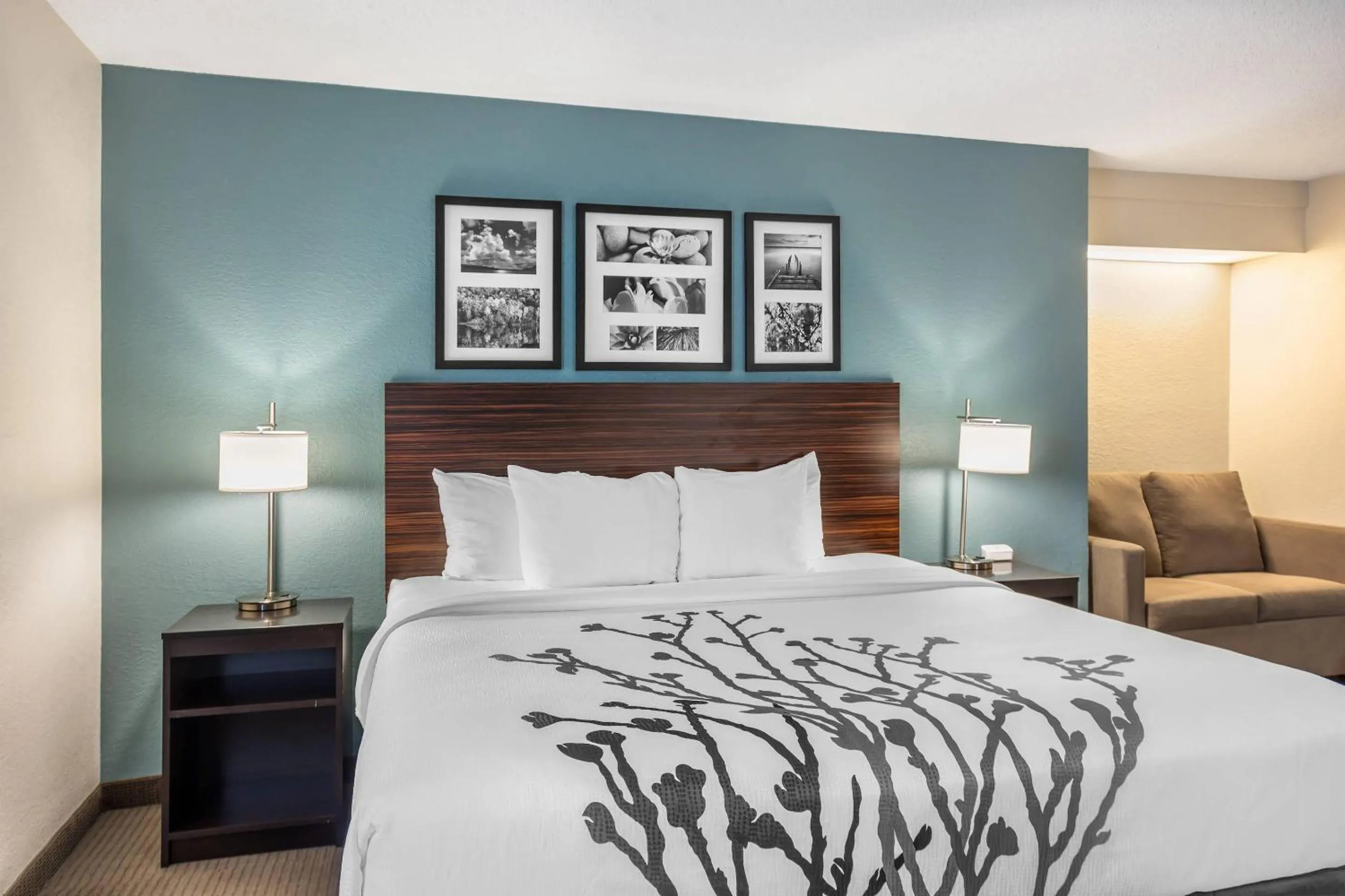 Bedroom, Bed in Sleep Inn State College near Penn State - Less than 1 Mile to PSU!