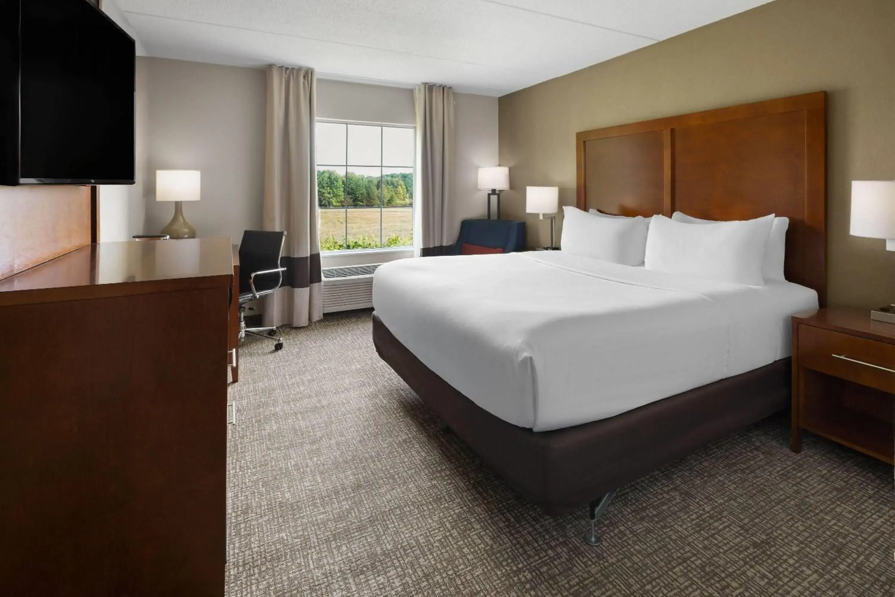 1 King Bed, Mobility Accessible Room, Bathtub w/ Grab Bars, Non-Smoking in Wingate by Wyndham Grove City 1 King Bed, Mobility Accessible Room, Bathtub w/ Grab Bars, Non-Smoking in Wingate by Wyndham Grove City