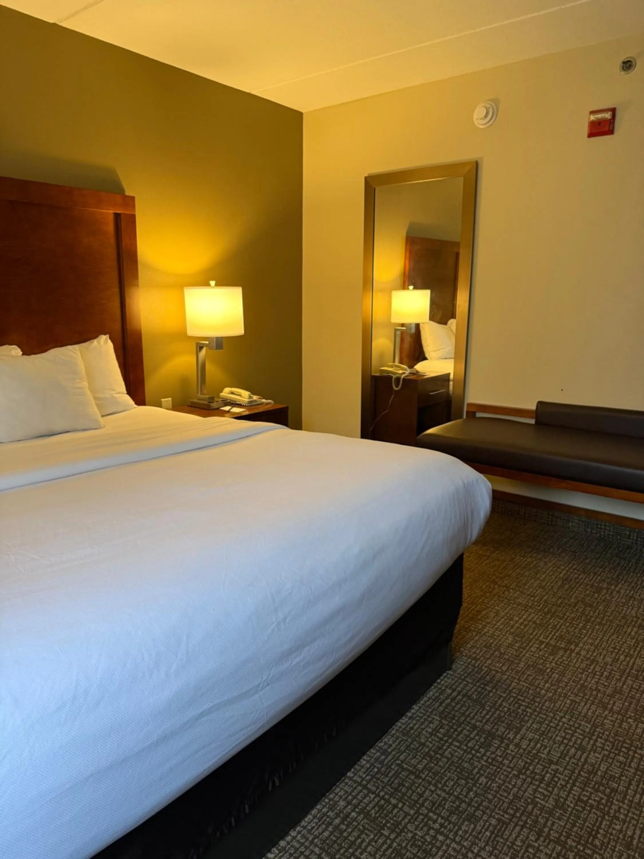 Bed in Comfort Inn & Suites Wilkes Barre - Arena