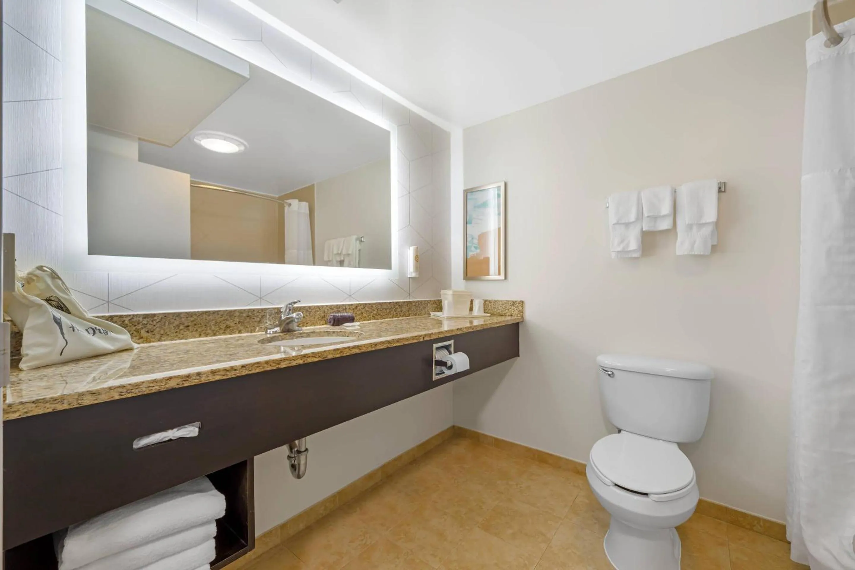 Bedroom in Comfort Suites Lewisburg