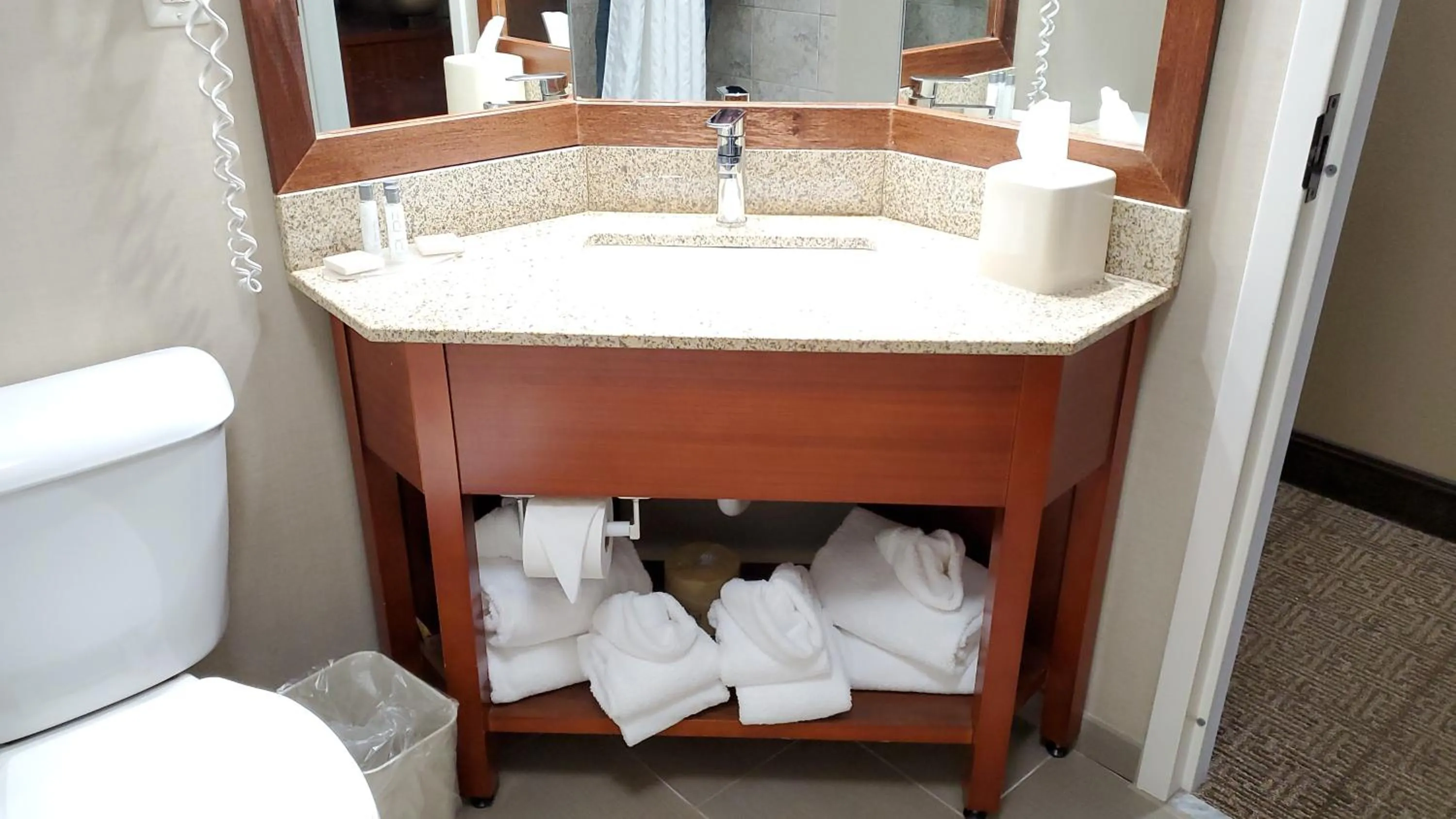 Toilet in Comfort Inn, Erie - Near Presque Isle